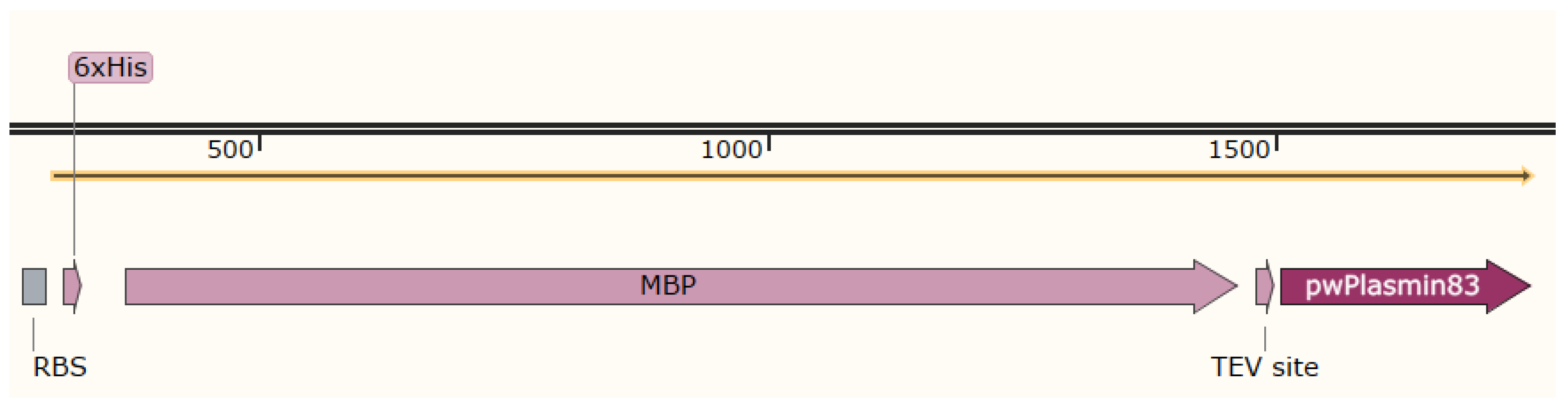Bioengineering 11 01030 g001 Bioengineering 11 01030 g001