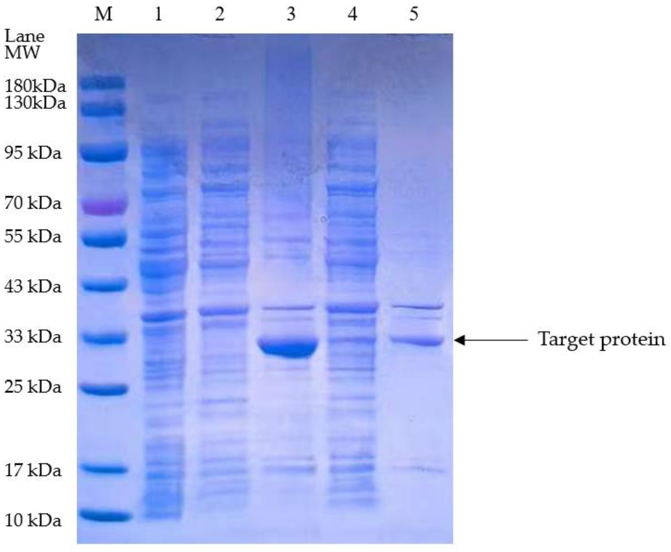 Bioengineering 11 01030 g002 Bioengineering 11 01030 g002