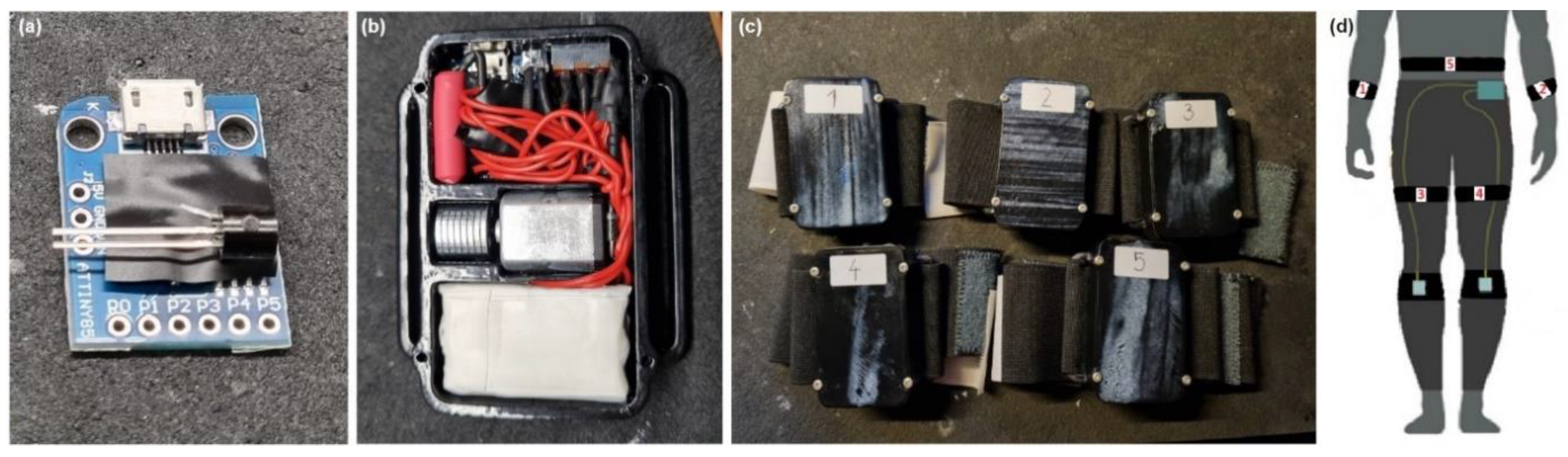 Bioengineering 11 01048 g001