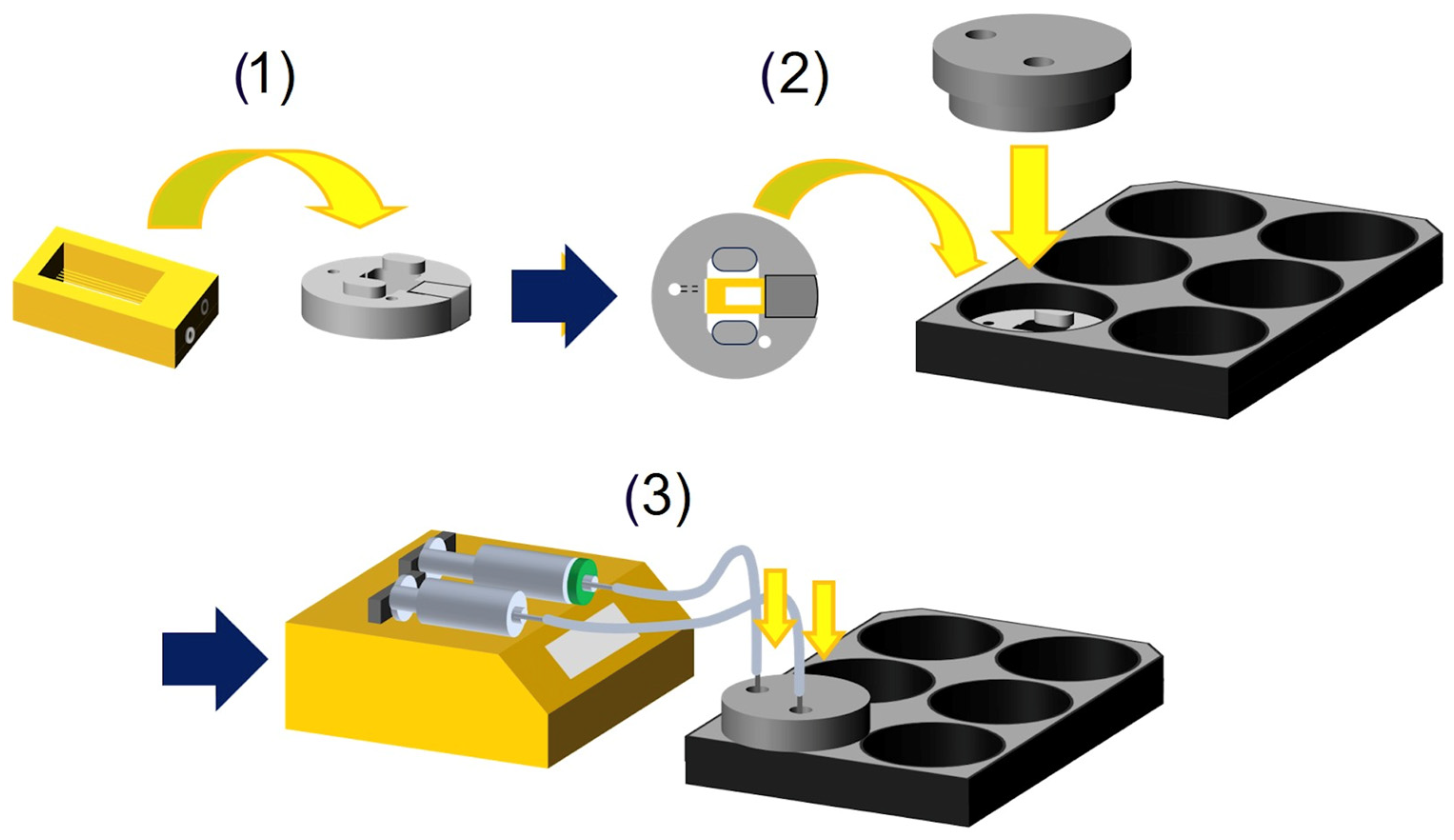 Bioengineering 11 01055 g002