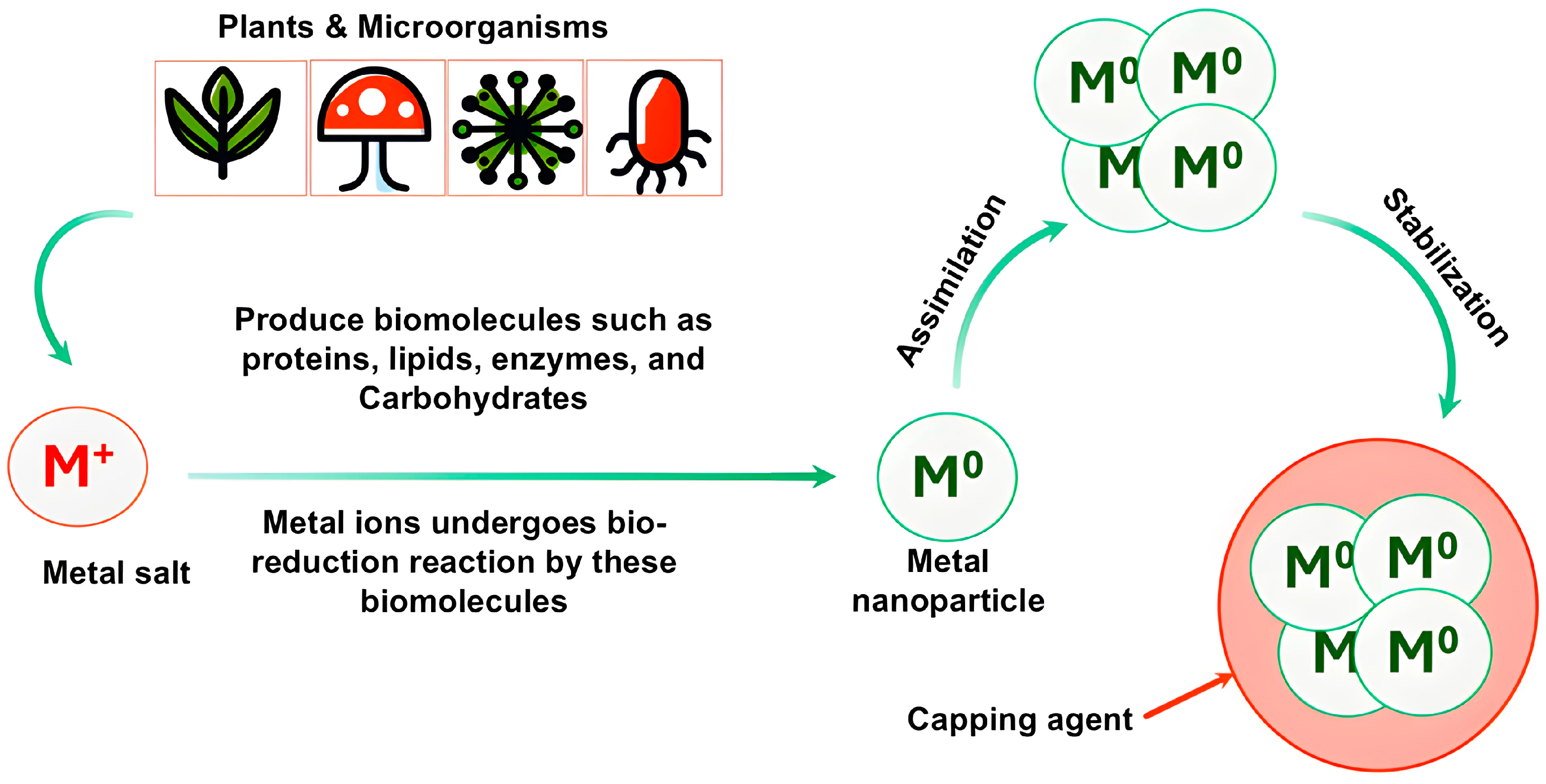 Bioengineering 11 01095 g001