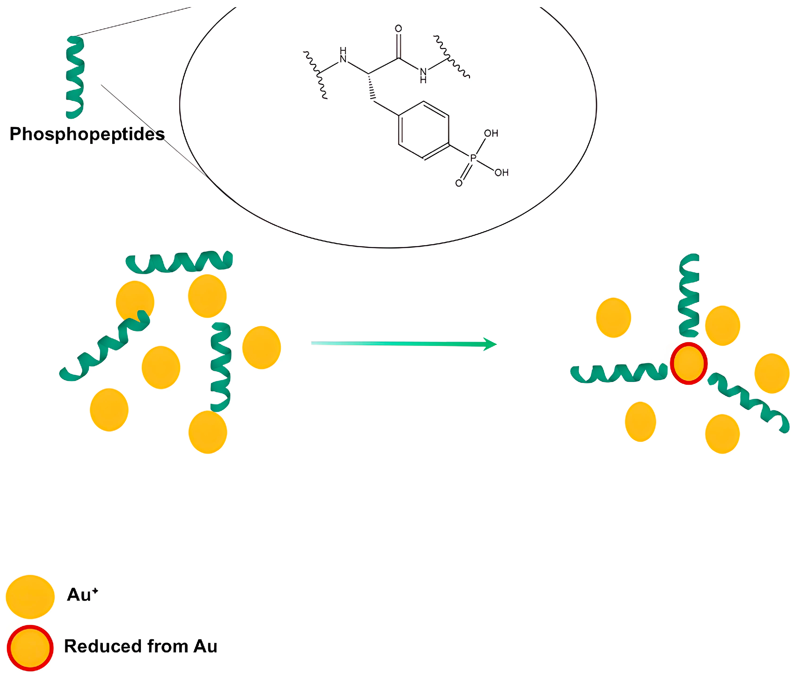Bioengineering 11 01095 g003