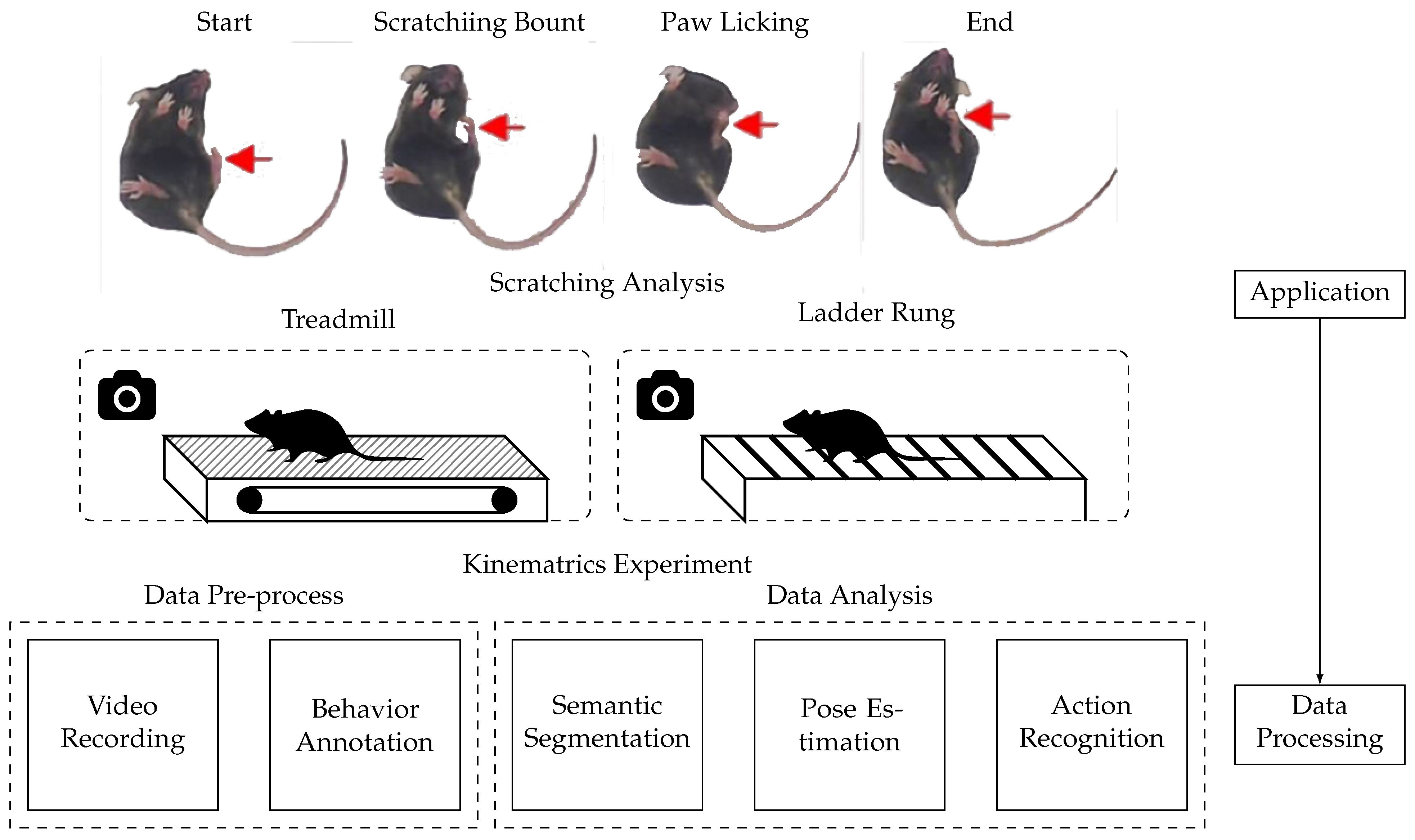 Bioengineering 11 01121 g002