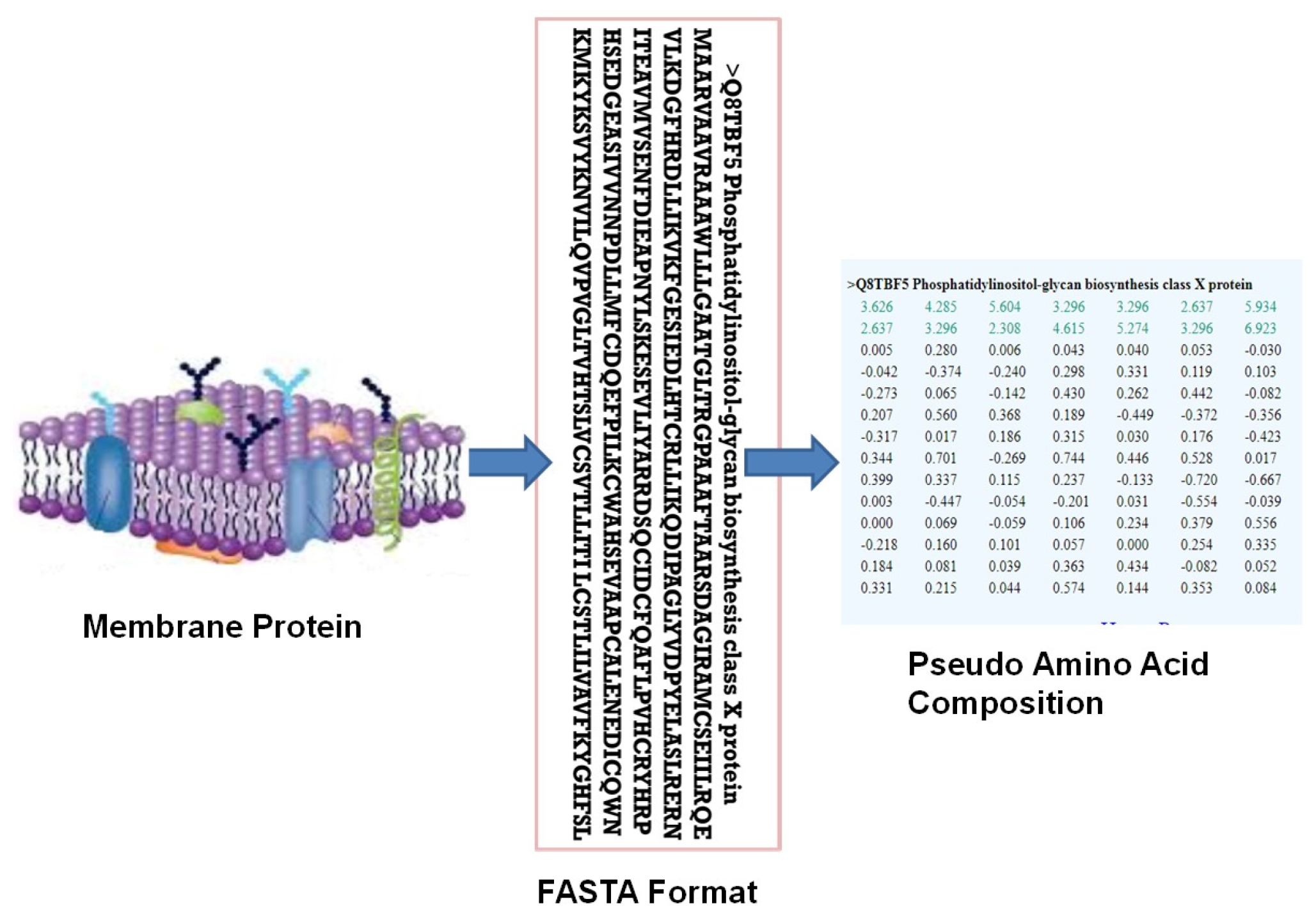 Bioengineering 11 01150 g001
