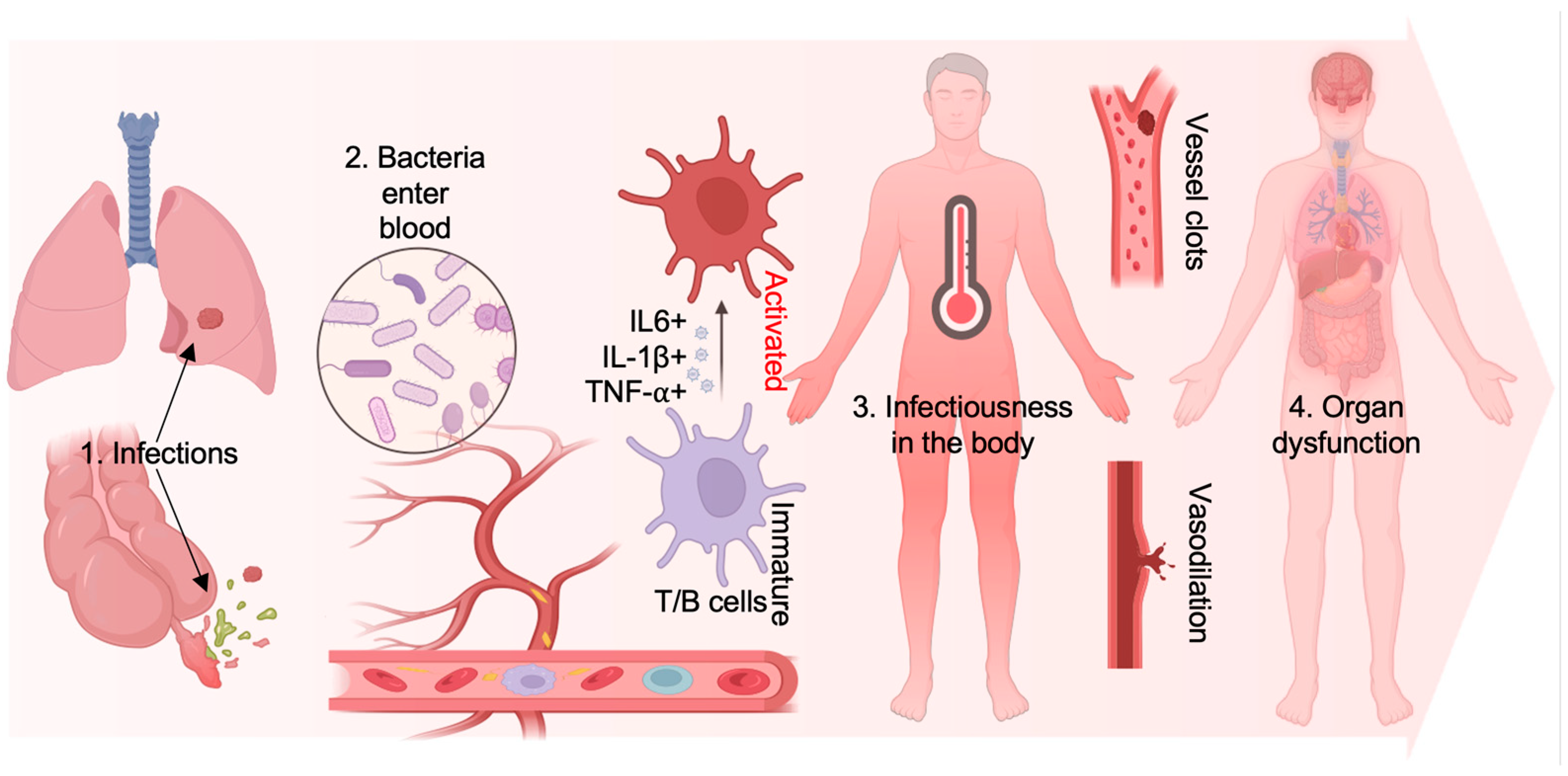 Bioengineering 11 01160 g001