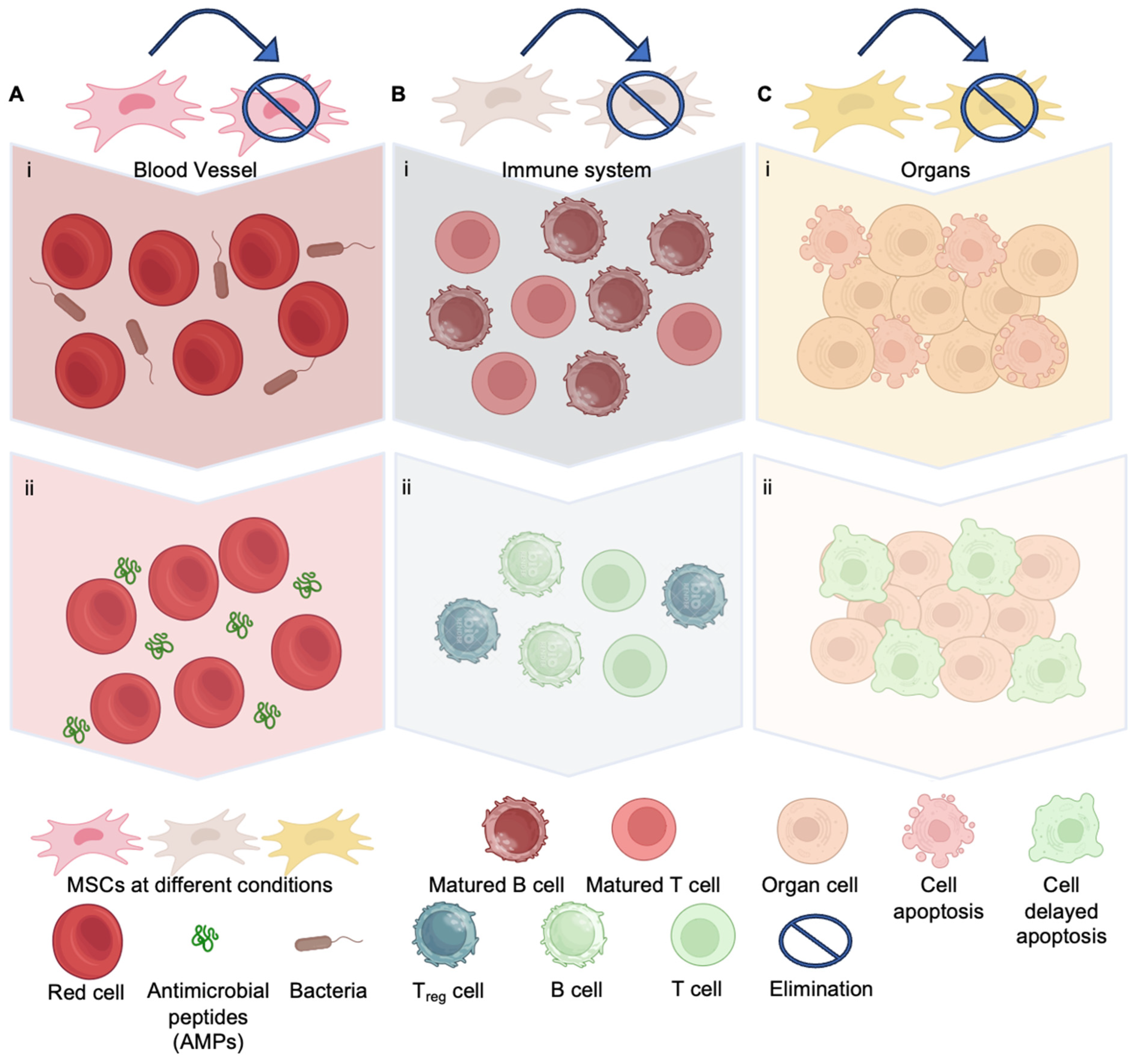 Bioengineering 11 01160 g003