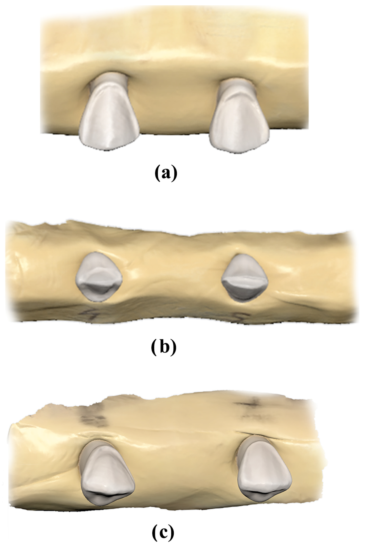 Bioengineering 11 01204 g002 Bioengineering 11 01204 g002