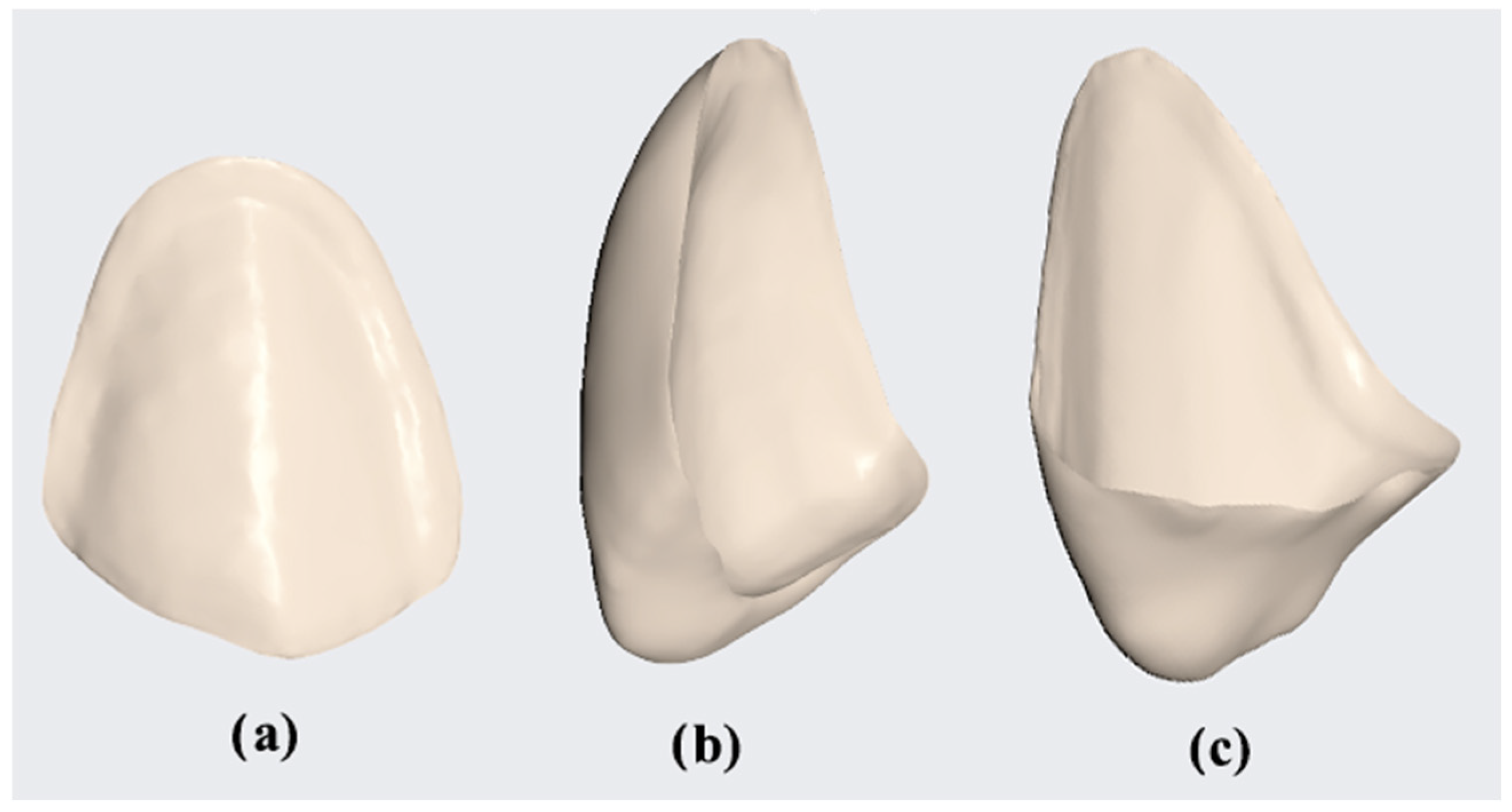 Bioengineering 11 01204 g003 Bioengineering 11 01204 g003