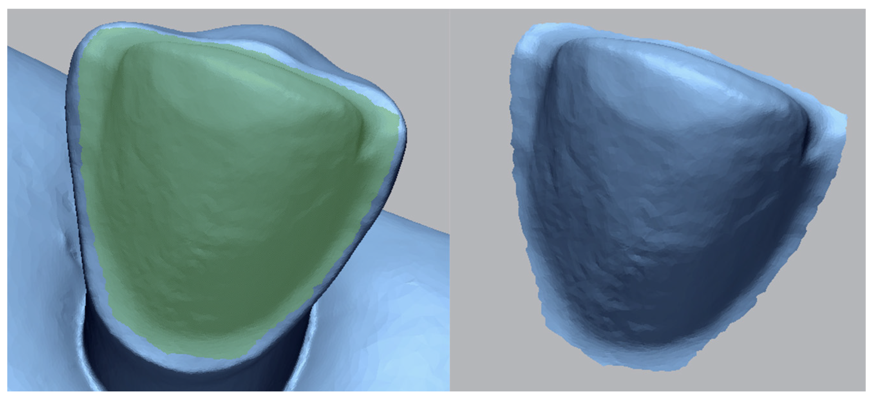Bioengineering 11 01204 g005 Bioengineering 11 01204 g005