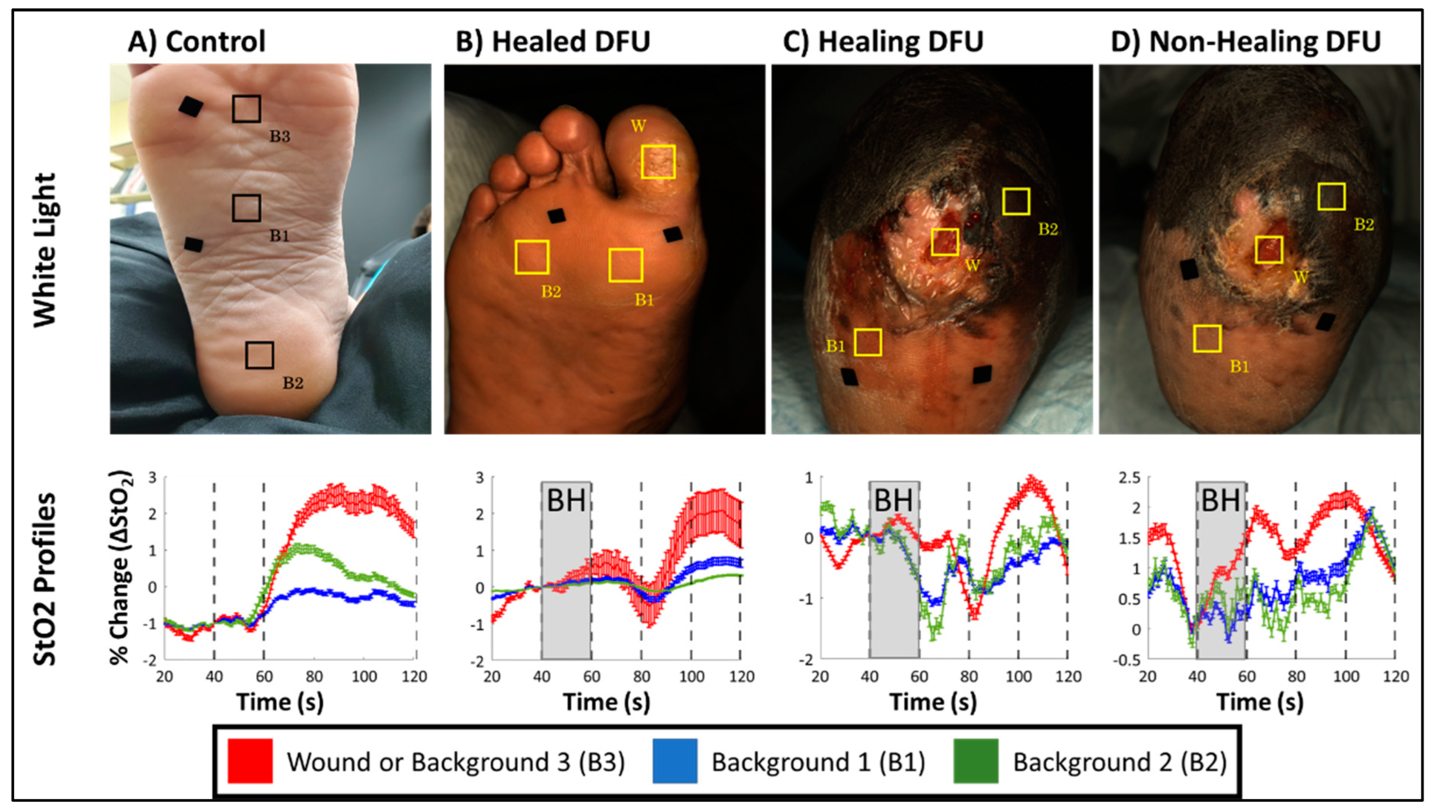 Bioengineering 11 01221 g005