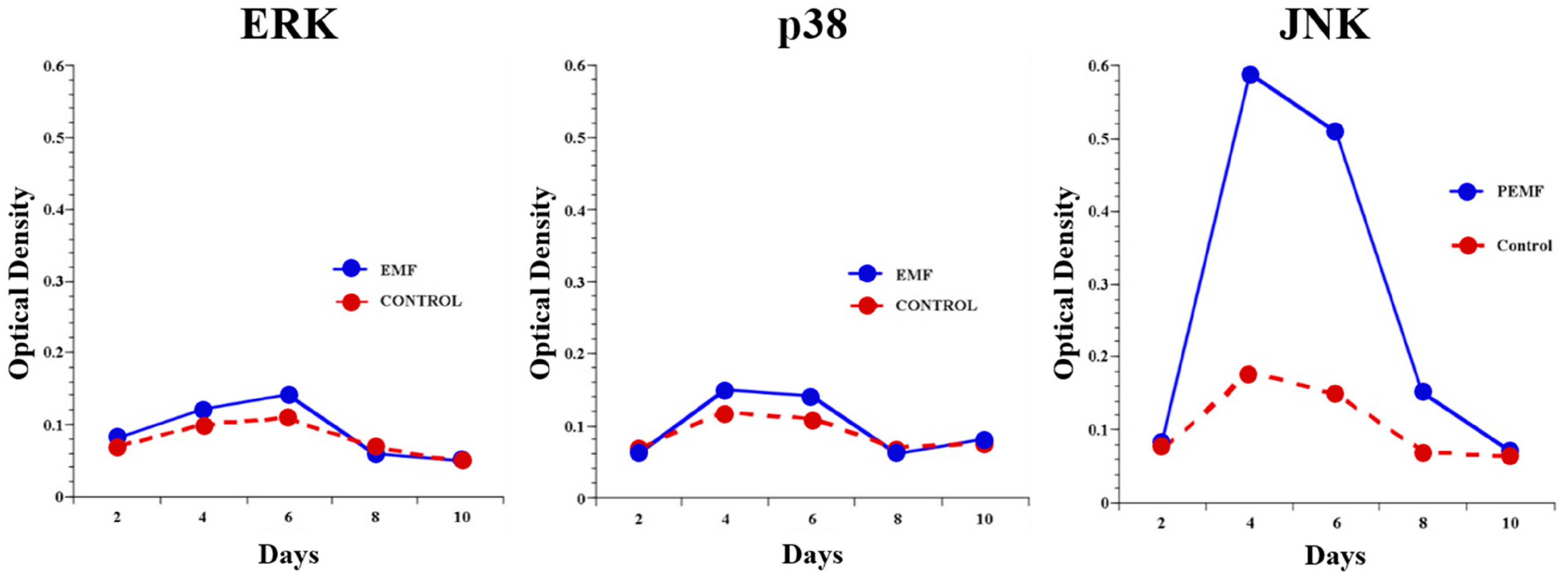 Bioengineering 11 01223 g002