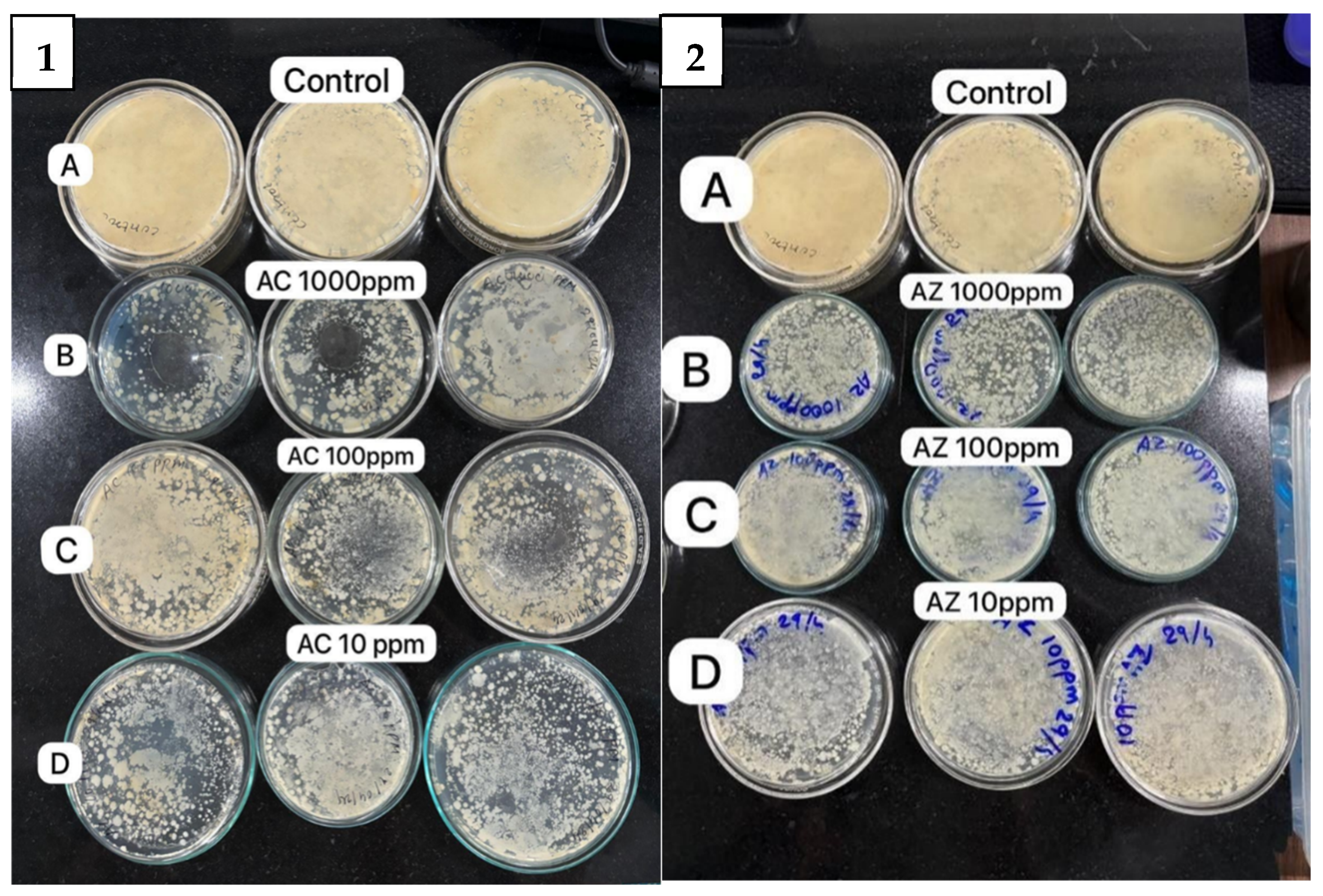 Bioengineering 11 01234 g010