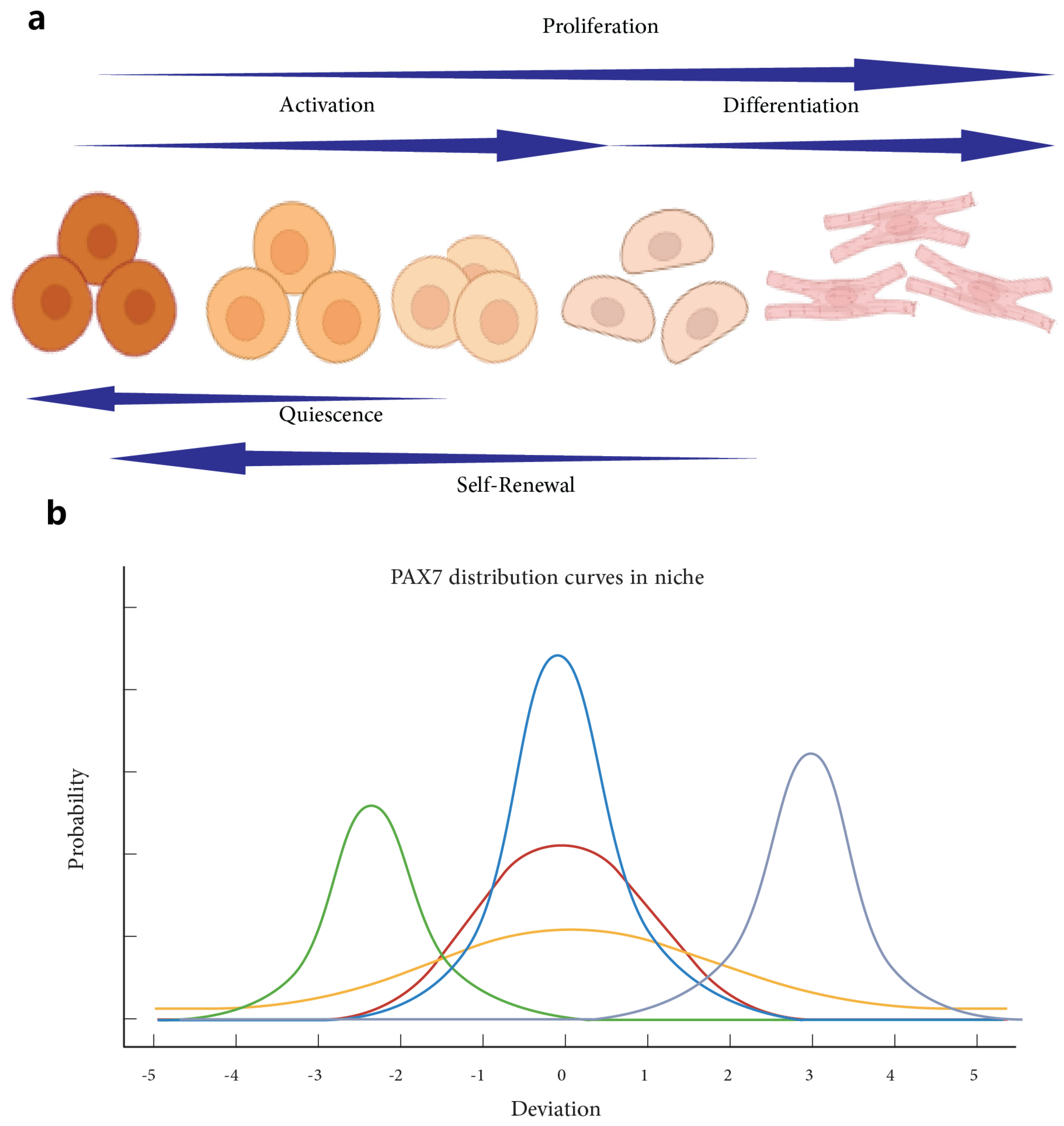 Bioengineering 11 01245 g001 Bioengineering 11 01245 g001