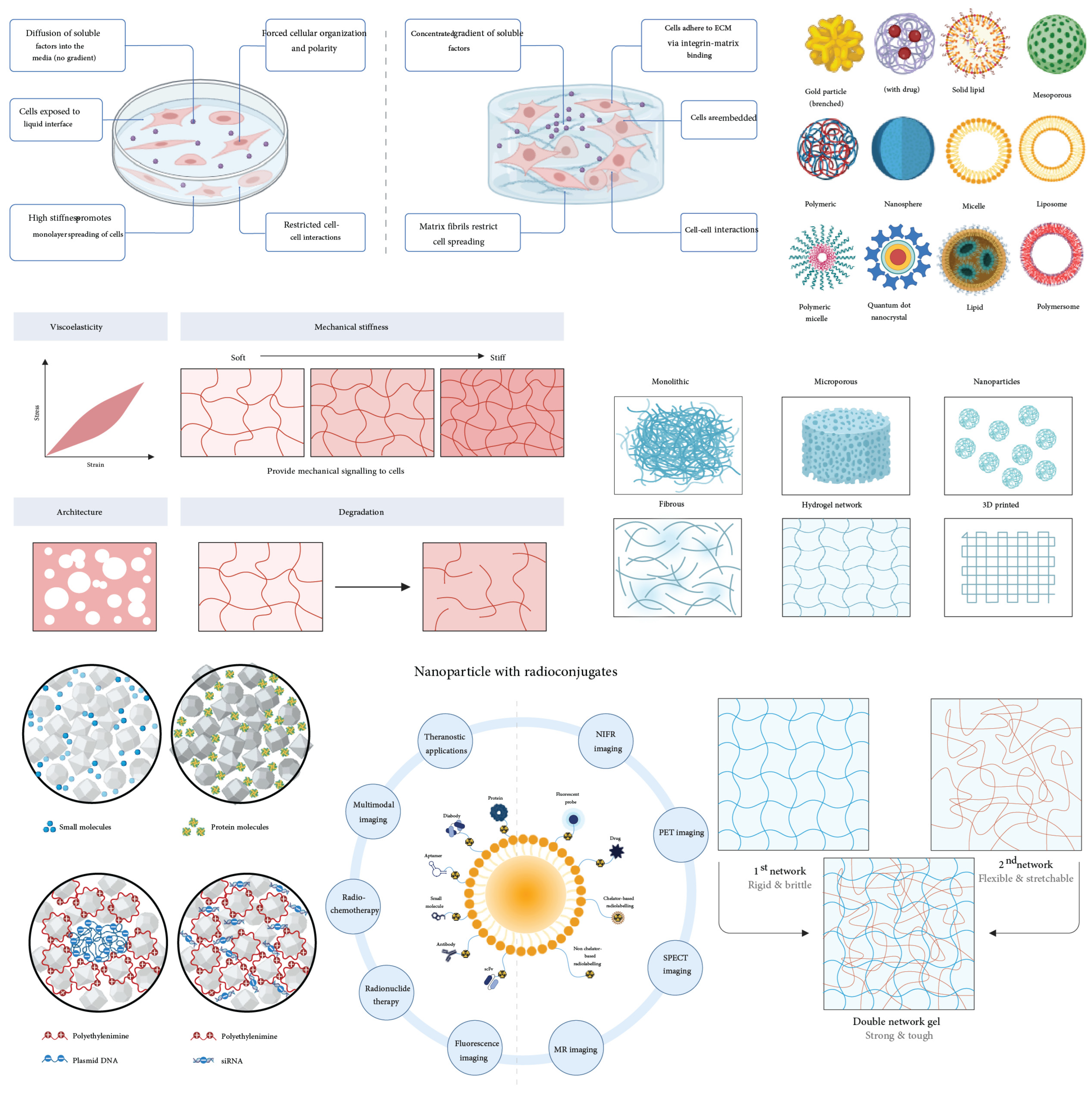 Bioengineering 11 01245 g004 Bioengineering 11 01245 g004