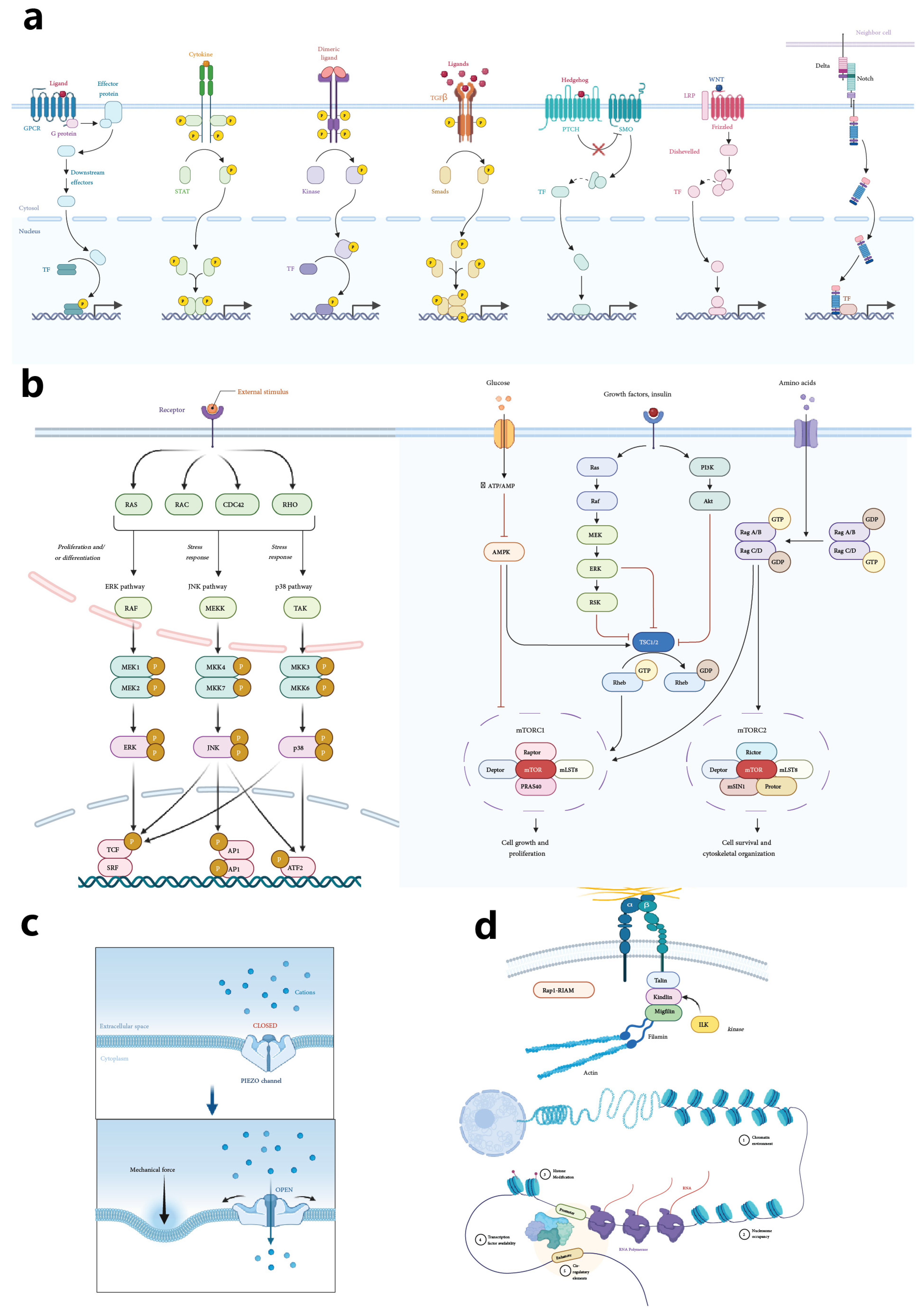 Bioengineering 11 01245 g005 Bioengineering 11 01245 g005