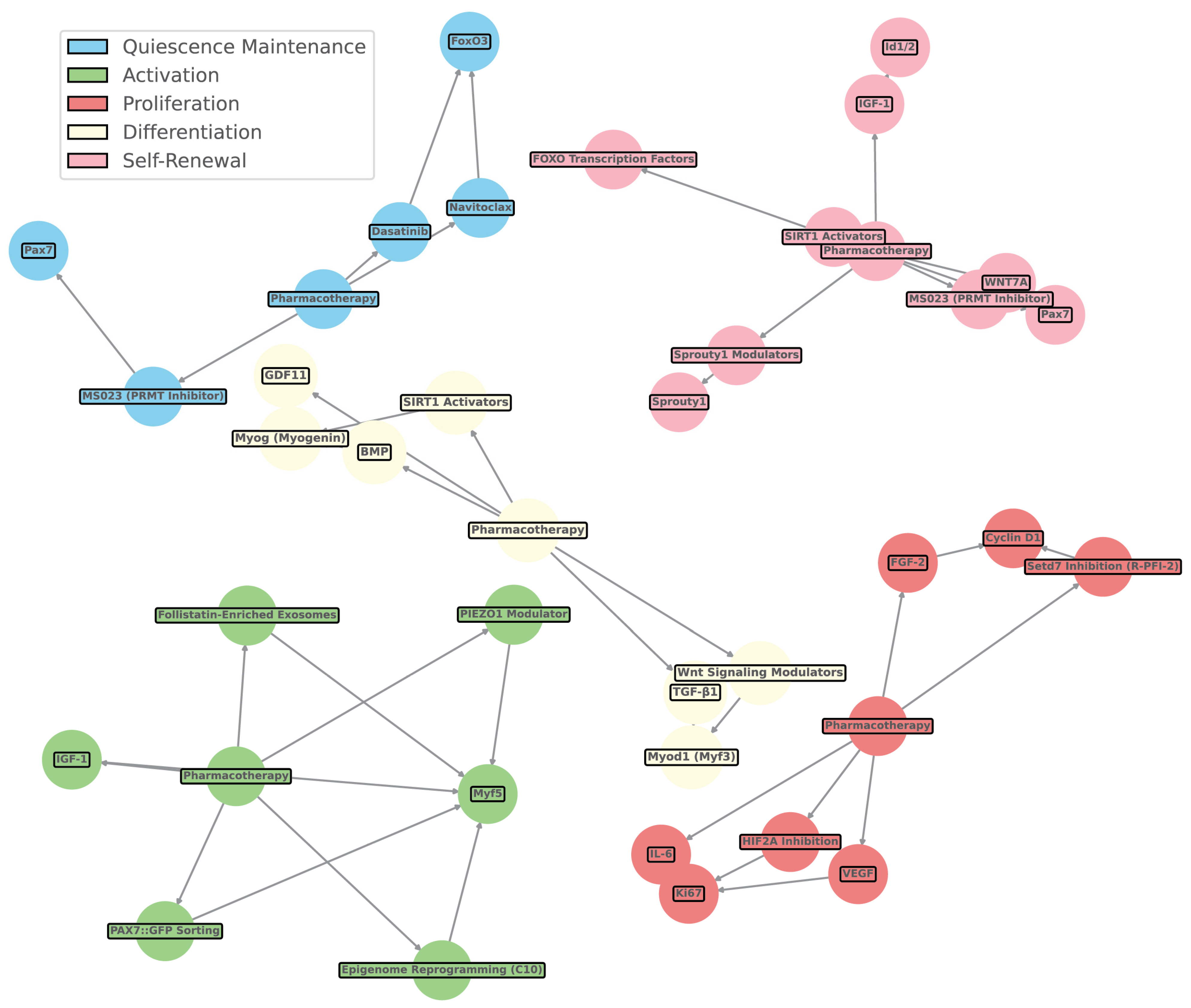 Bioengineering 11 01245 g006 Bioengineering 11 01245 g006