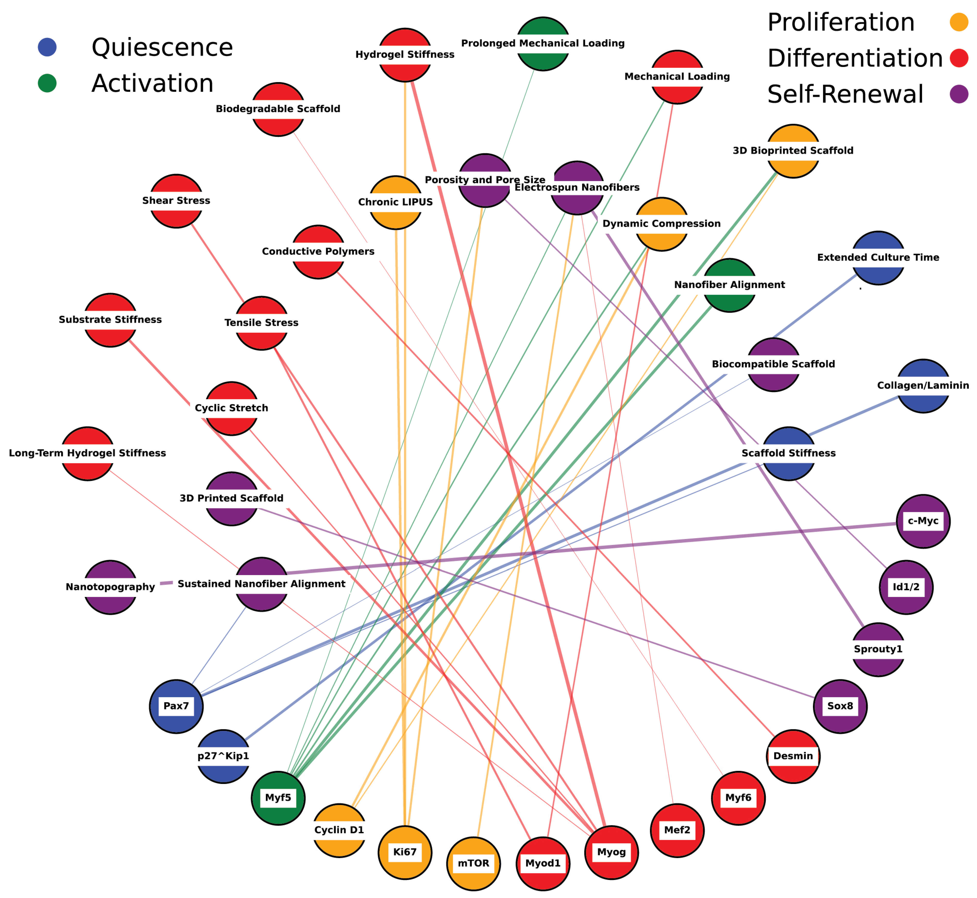 Bioengineering 11 01245 g008 Bioengineering 11 01245 g008