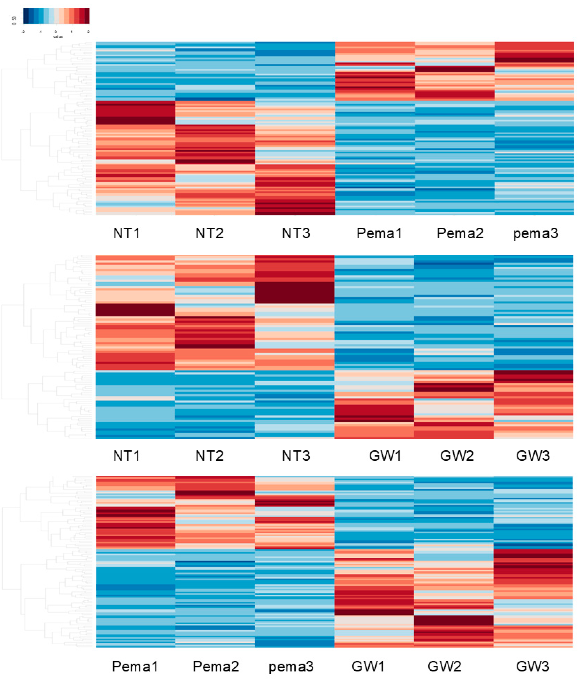 Bioengineering 11 01247 g002
