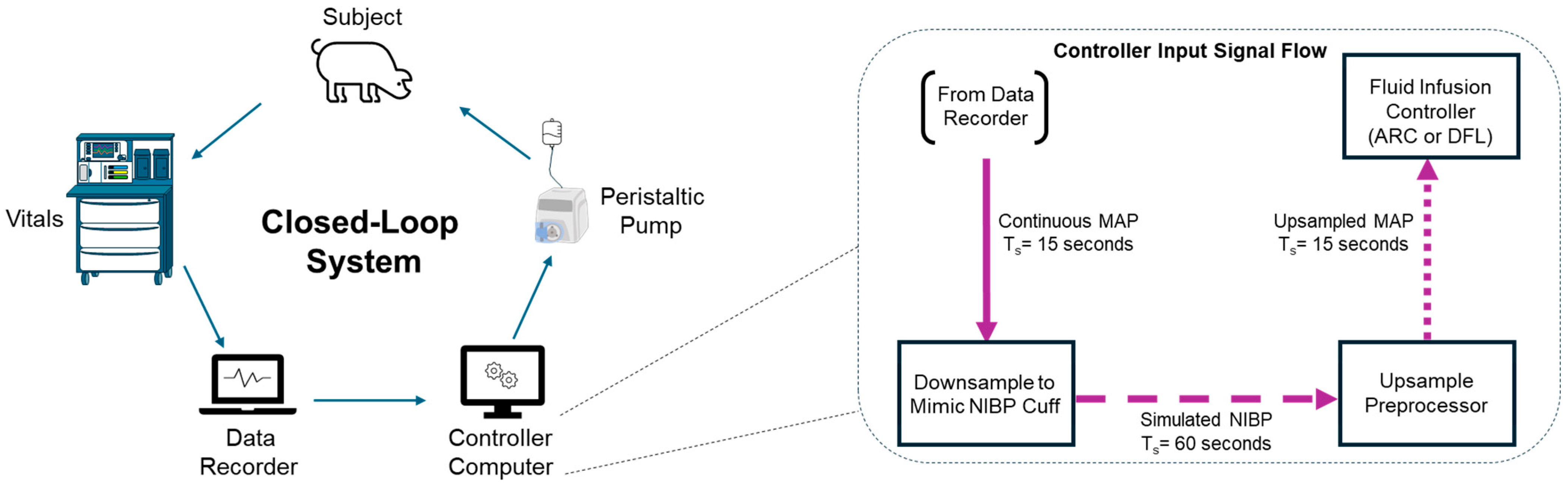 In Vivo Evaluation of Two Hemorrhagic Shock Resuscitation 