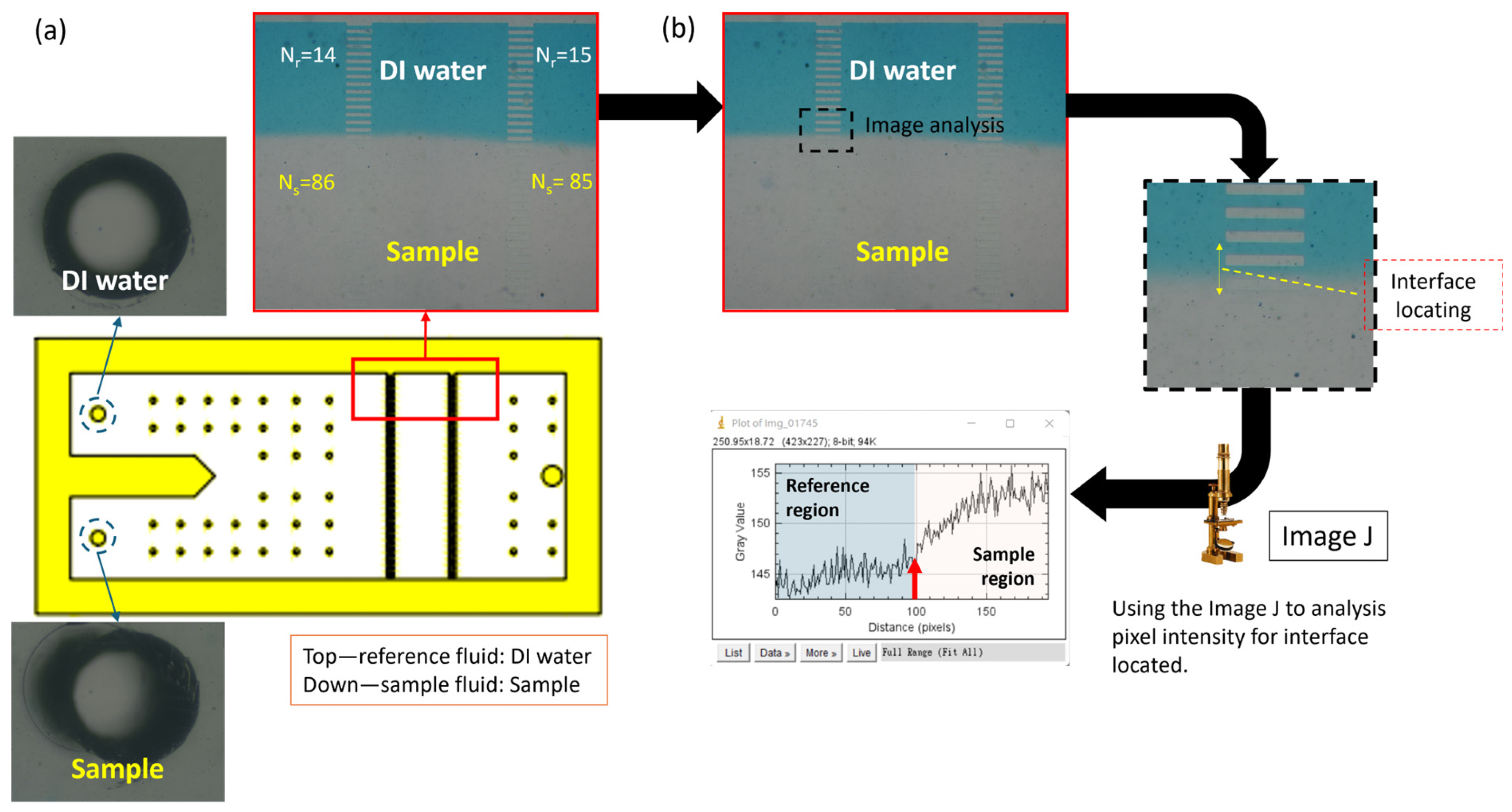 Bioengineering 11 01298 g011