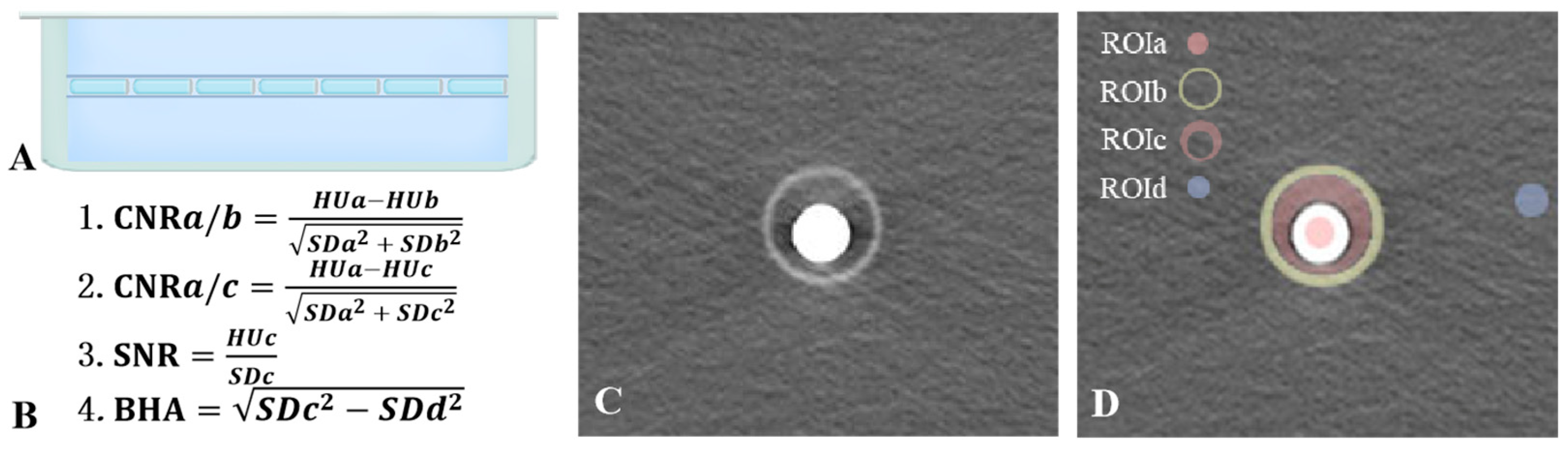 Bioengineering 11 01300 g001 Bioengineering 11 01300 g001