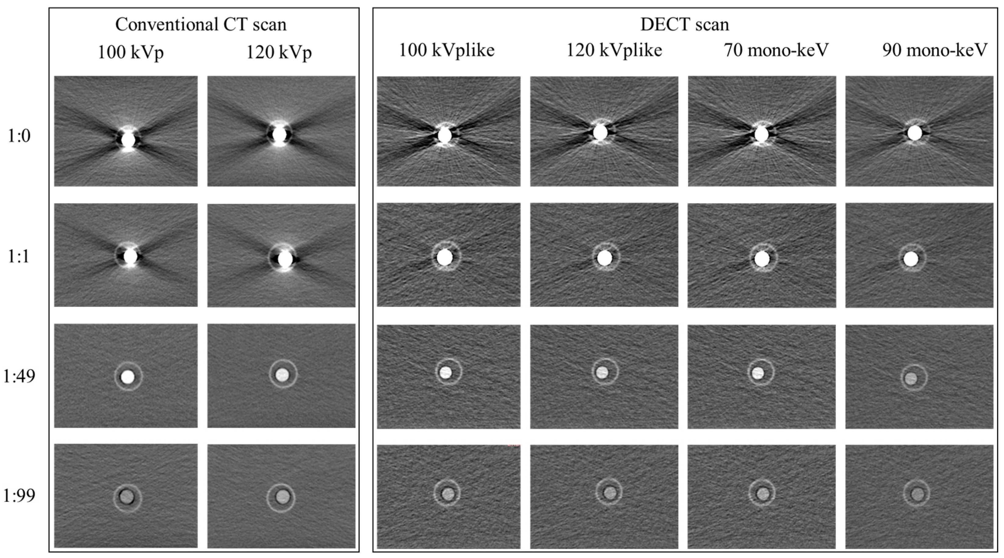 Bioengineering 11 01300 g004 Bioengineering 11 01300 g004