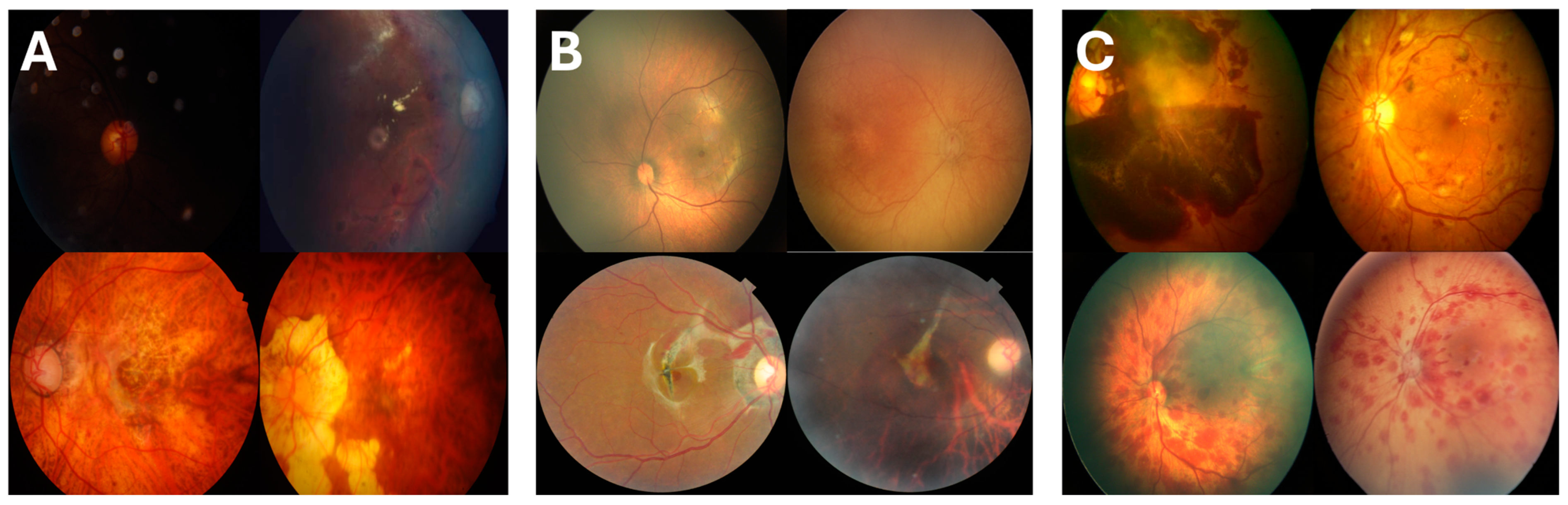 Bioengineering 12 00020 g002