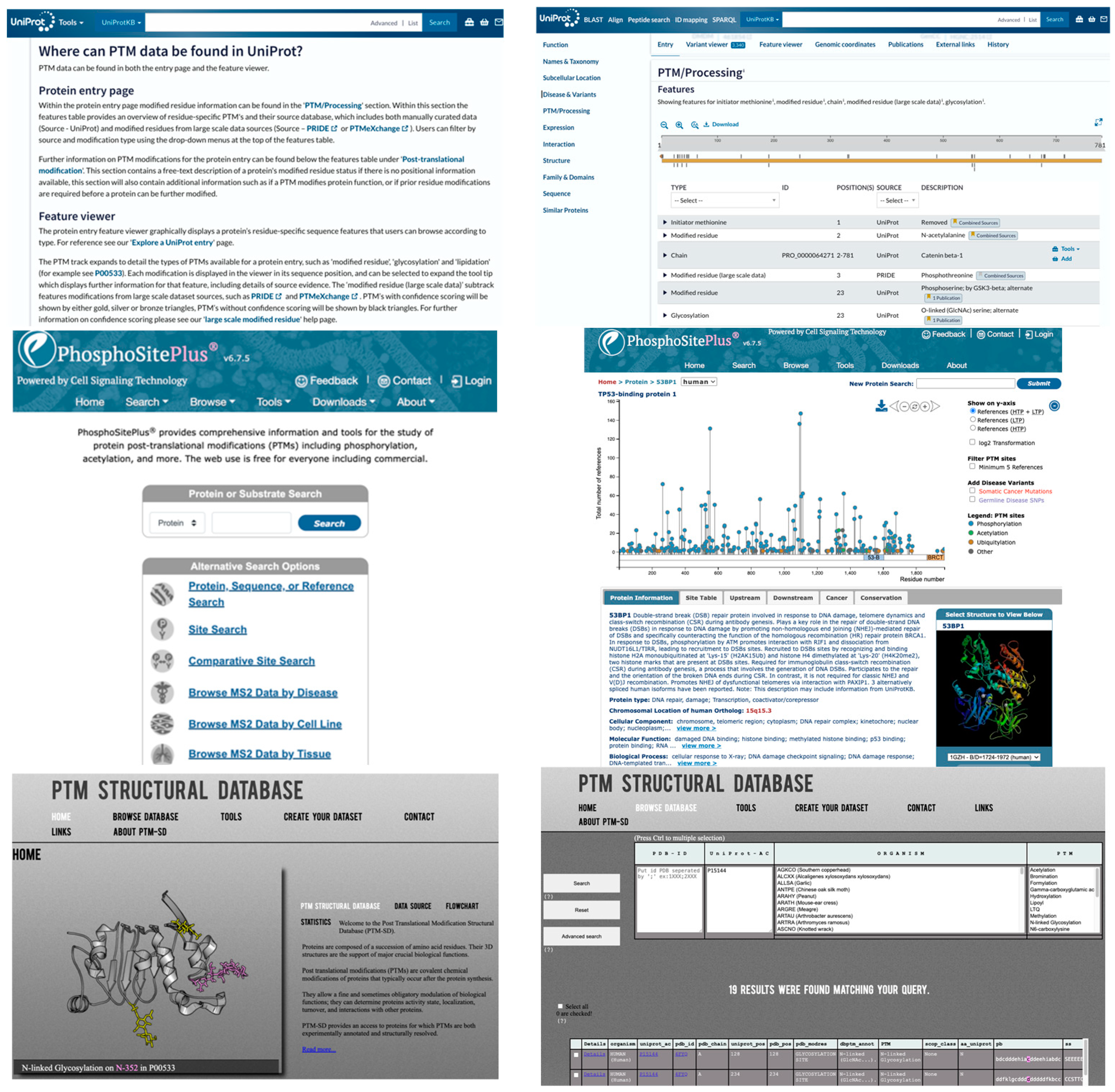 Bioengineering 12 00026 g003