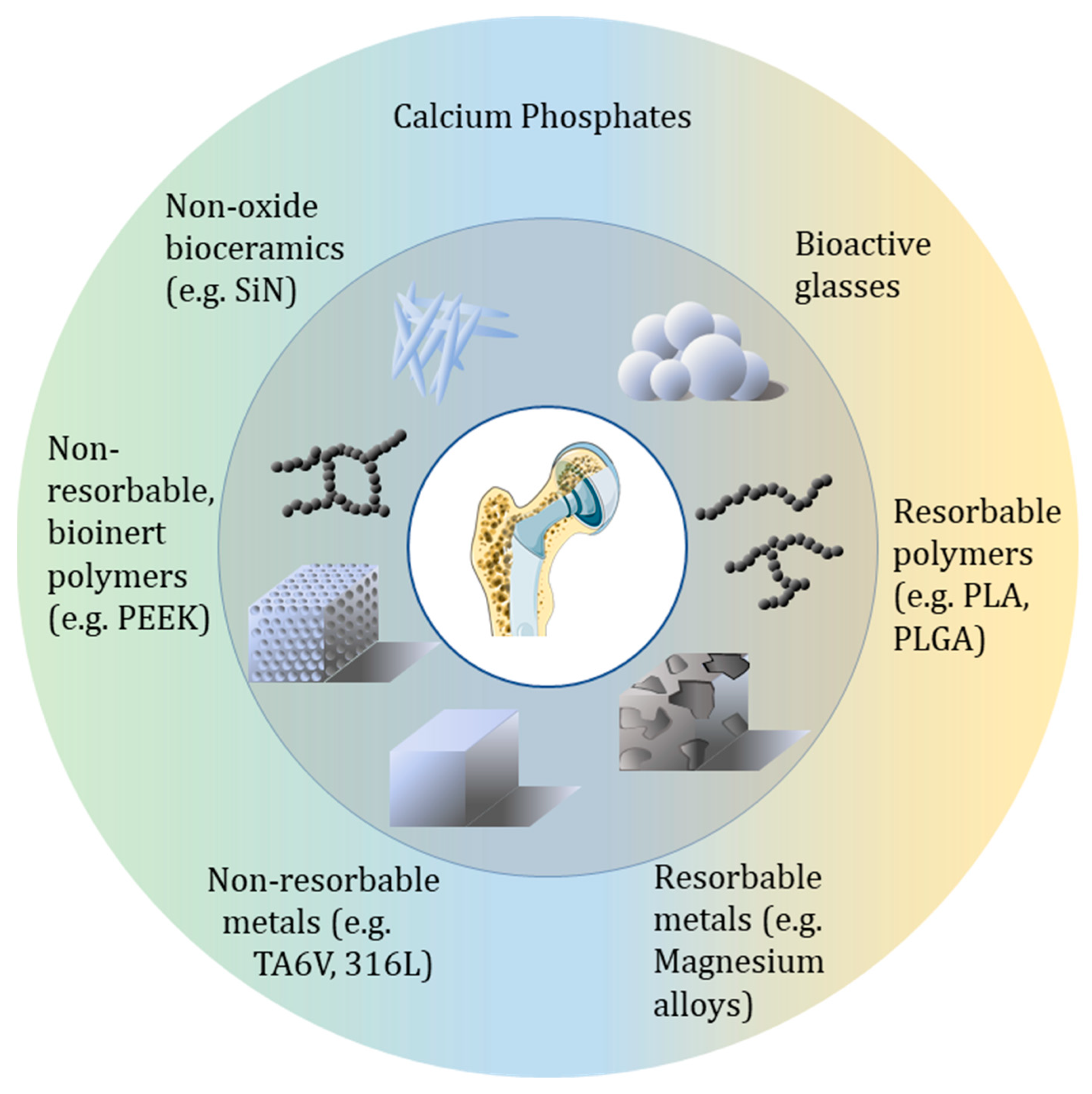 Bioengineering 12 00038 g001 Bioengineering 12 00038 g001