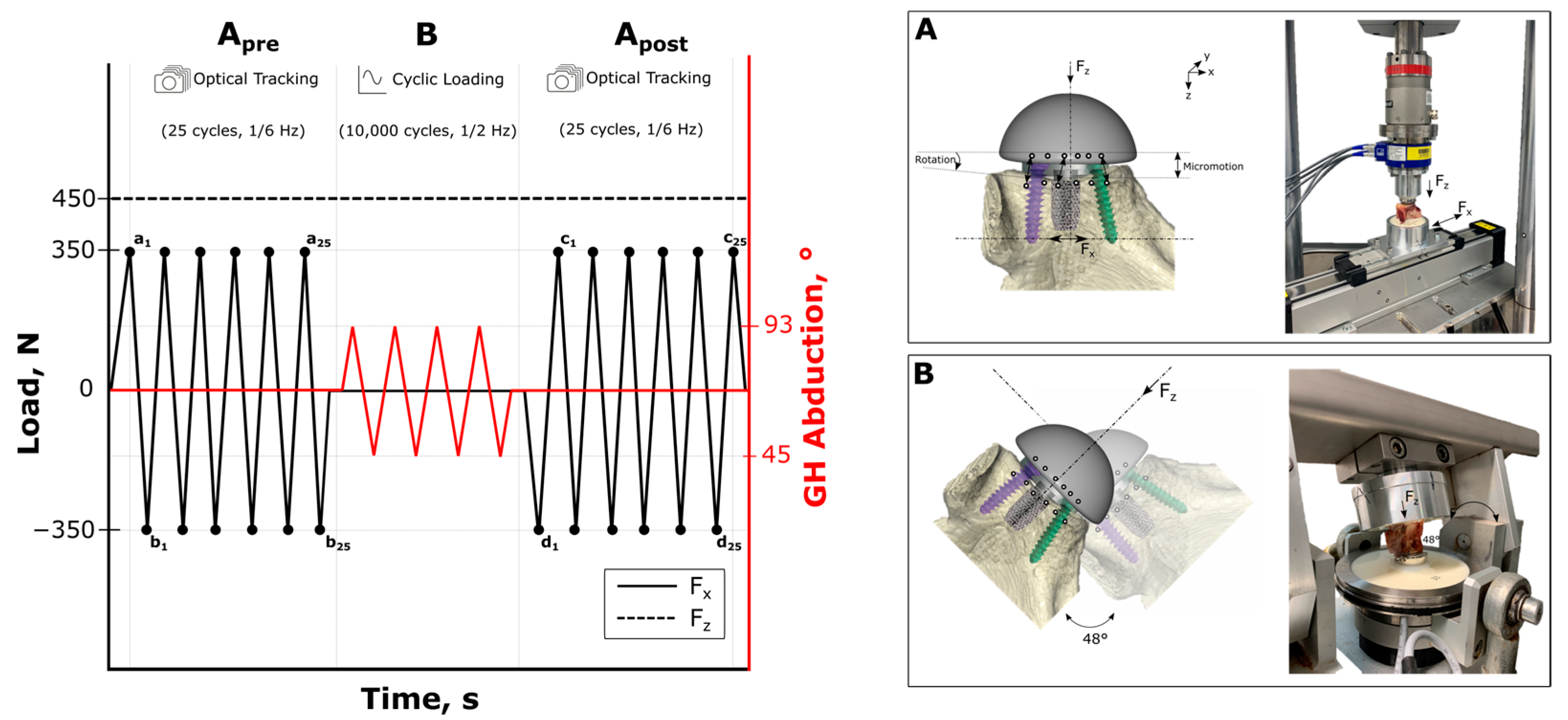 Bioengineering 12 00042 g003