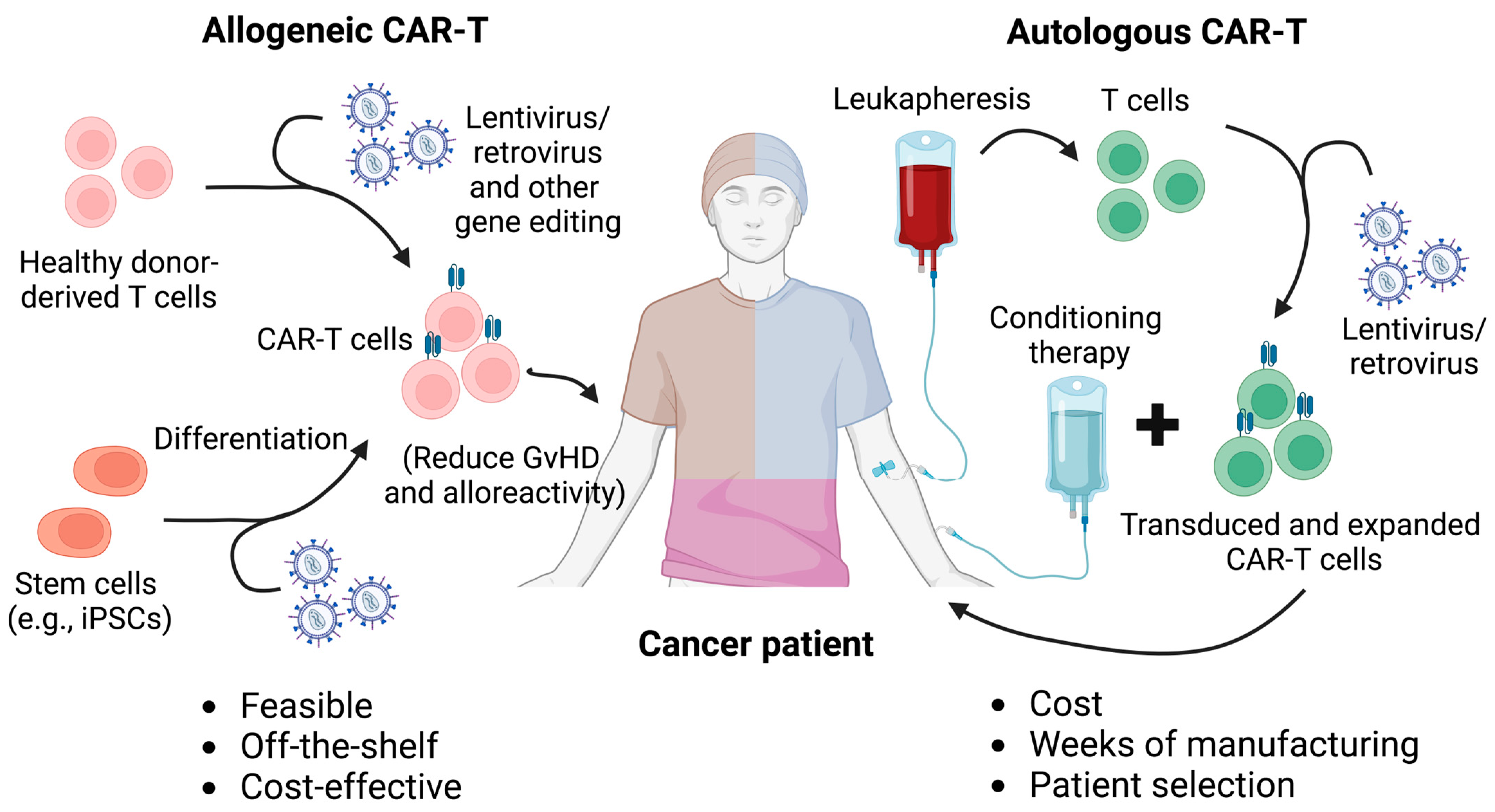 Bioengineering 12 00060 g001
