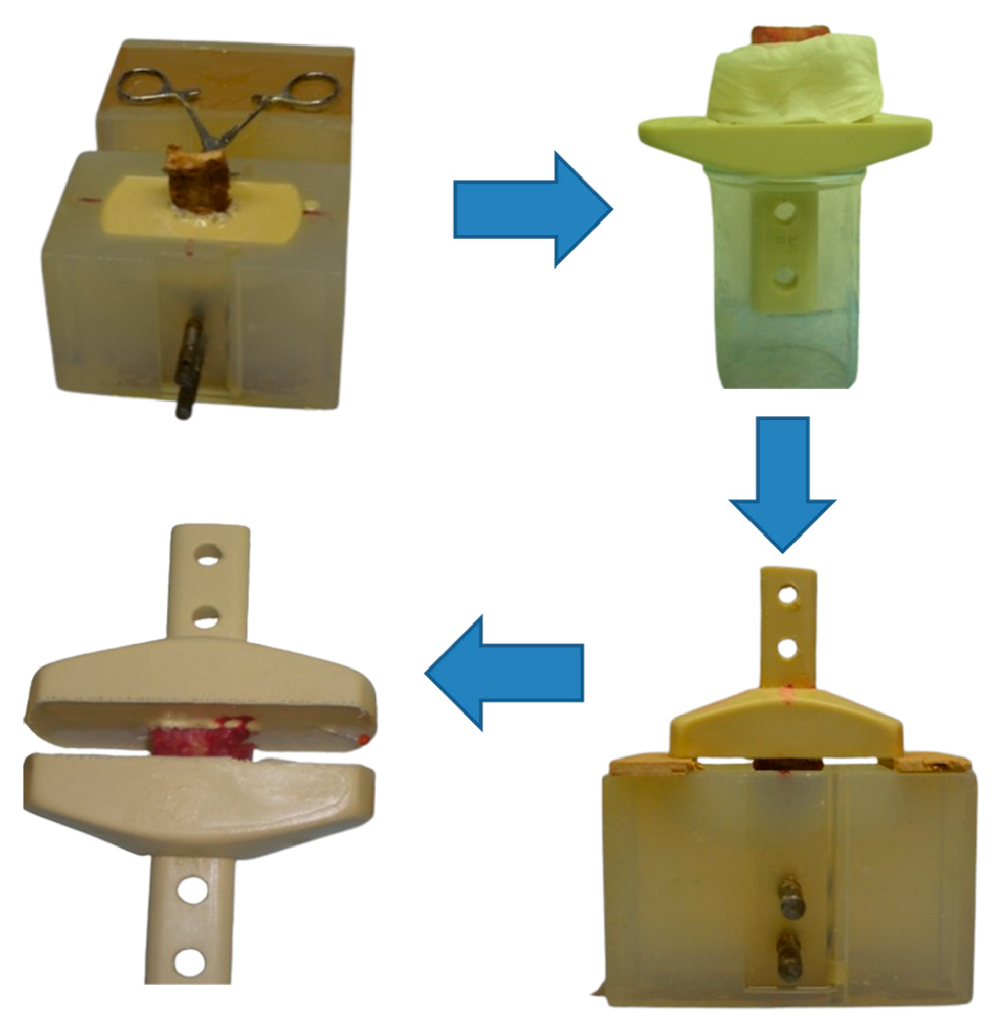 Bioengineering 12 00061 g002 Bioengineering 12 00061 g002