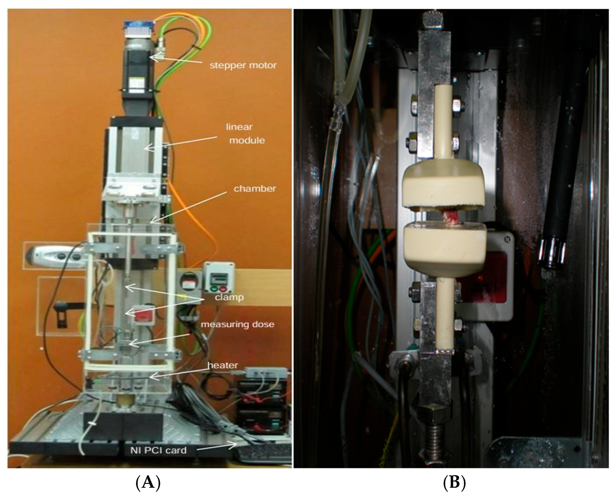 Bioengineering 12 00061 g003 Bioengineering 12 00061 g003