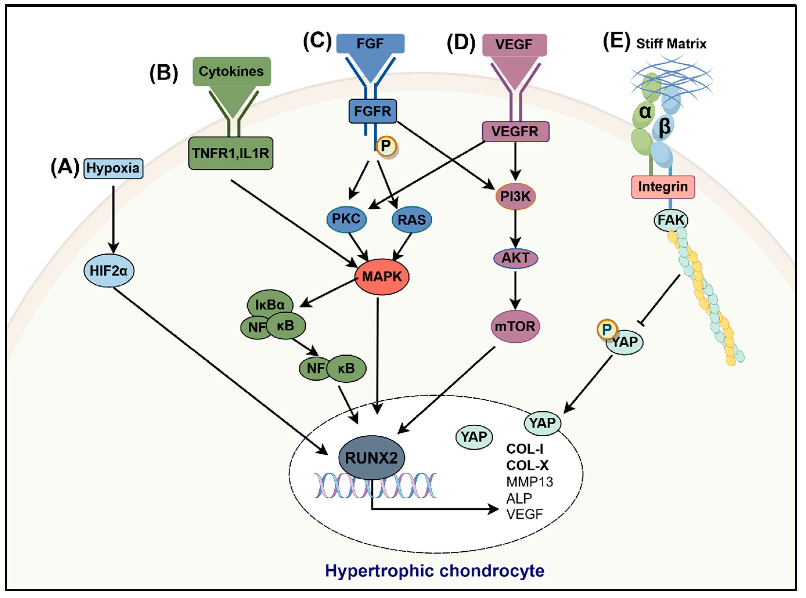 Bioengineering 12 00077 g003 Bioengineering 12 00077 g003