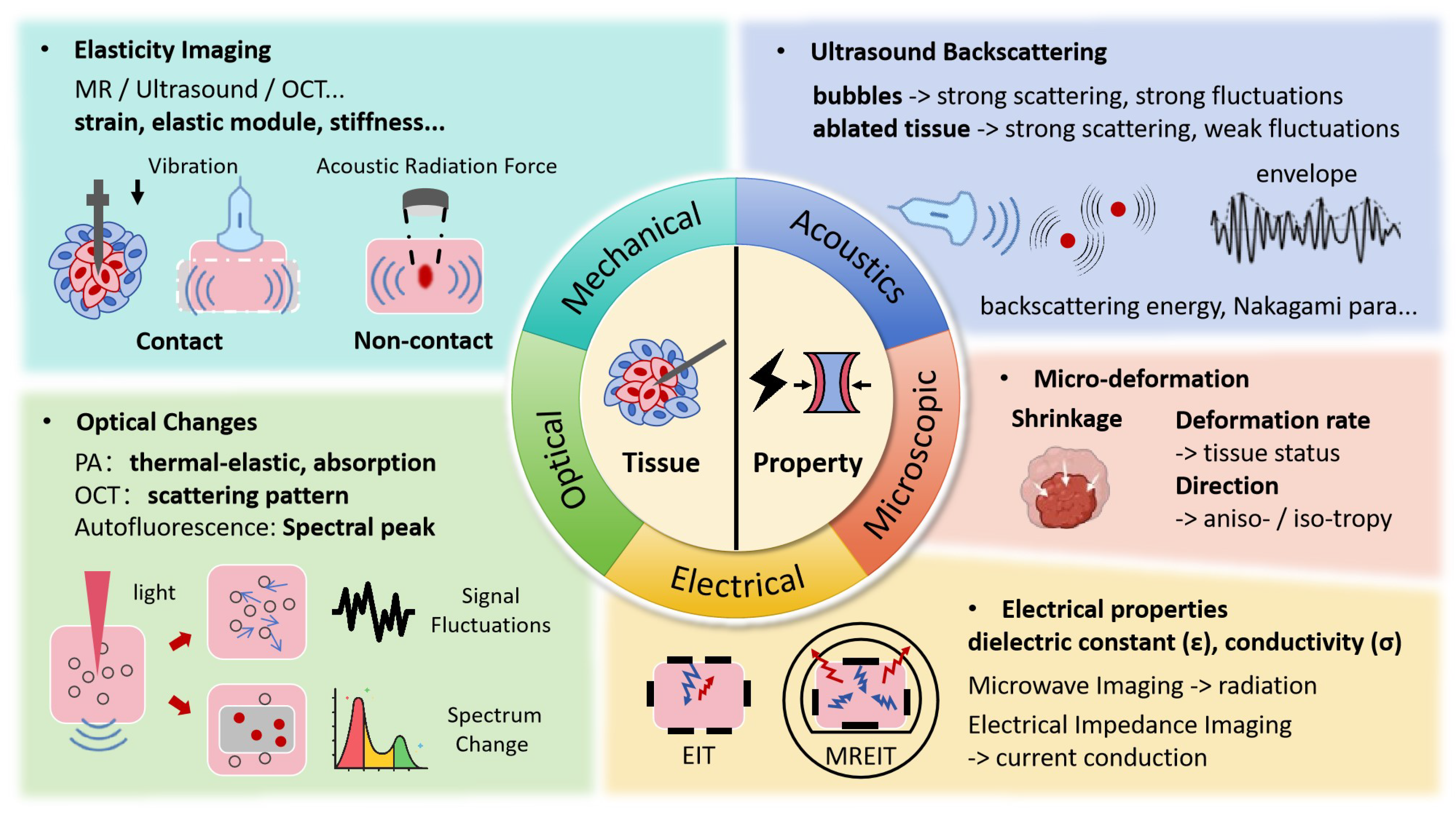Bioengineering 12 00078 g003 Bioengineering 12 00078 g003