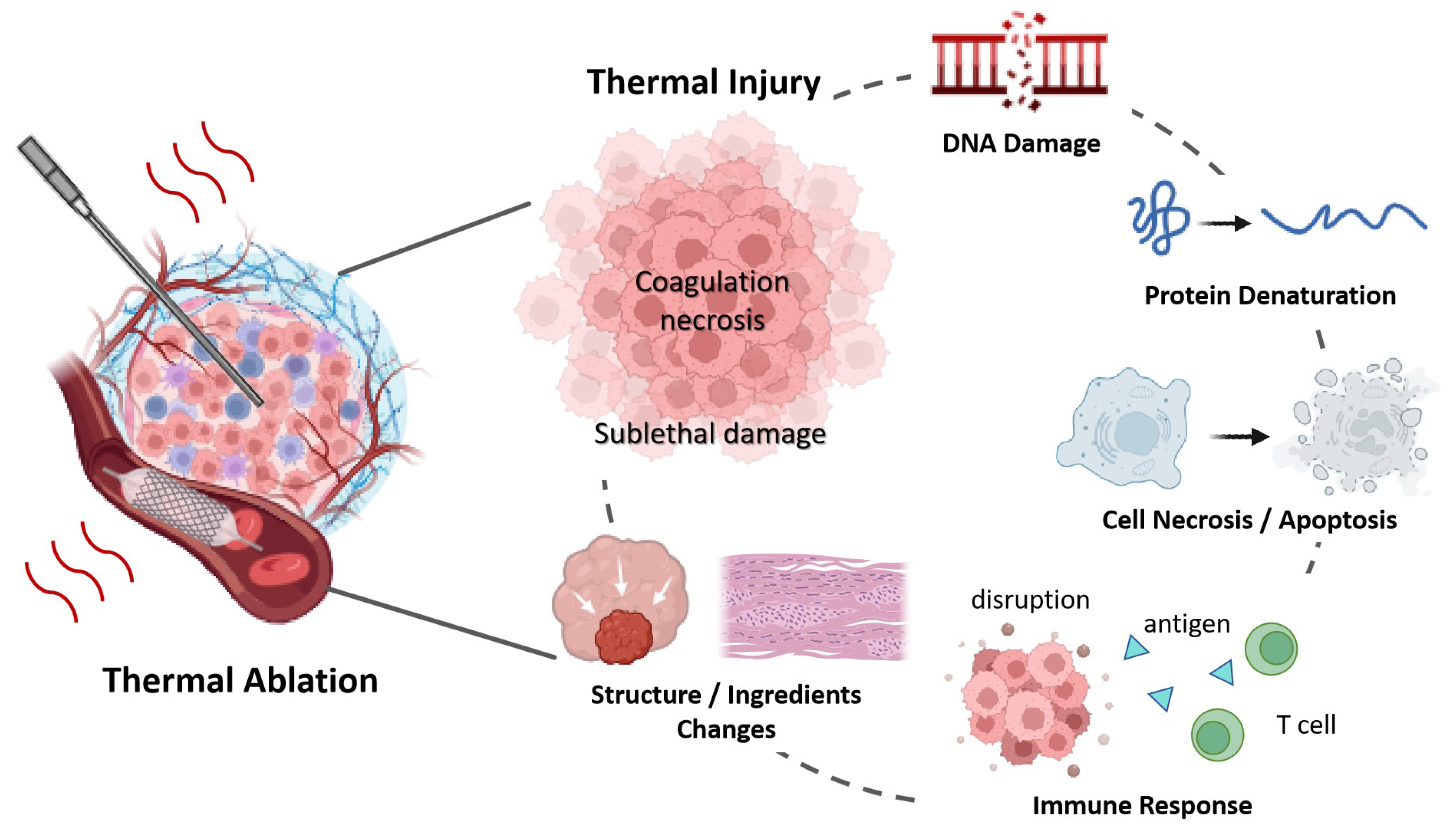 Bioengineering 12 00078 g004 Bioengineering 12 00078 g004