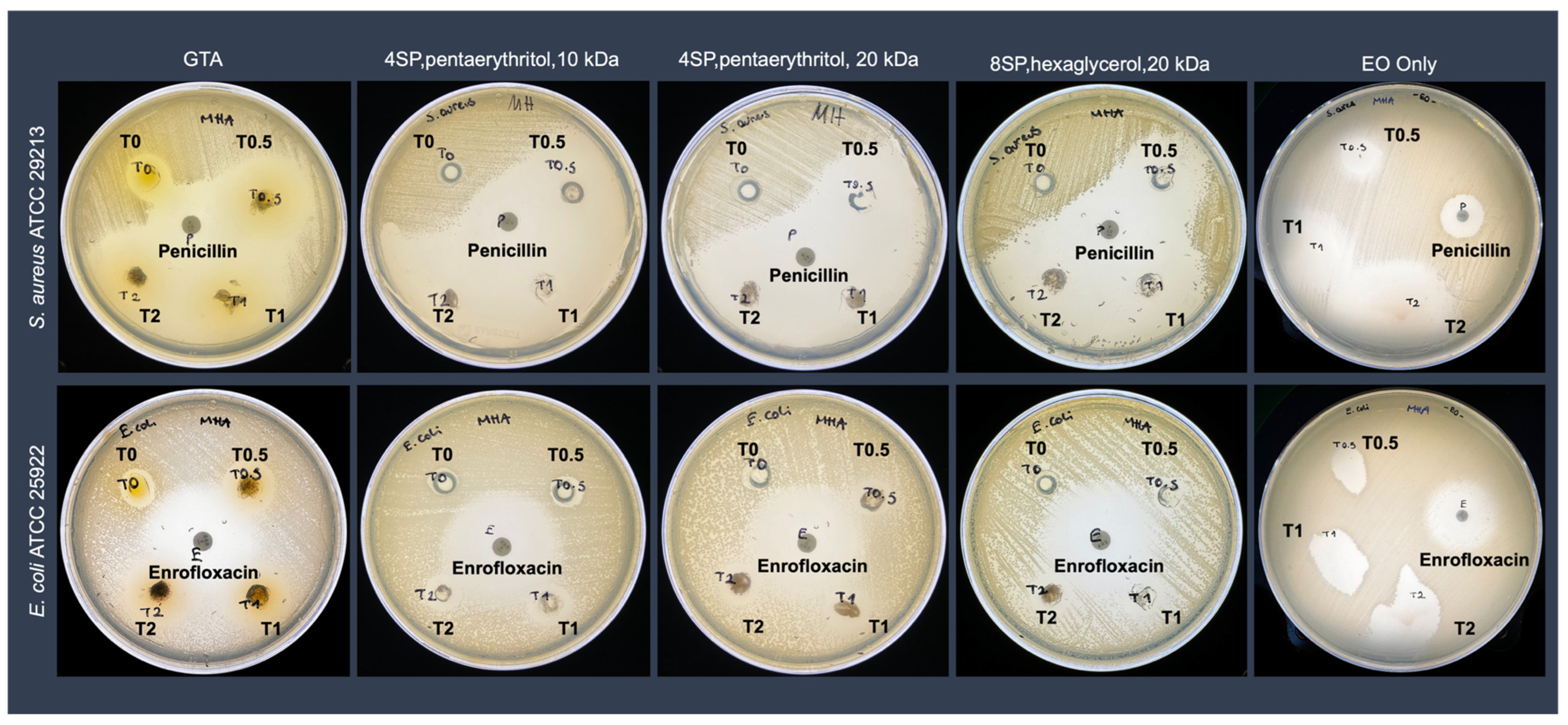 Bioengineering 12 00089 g004