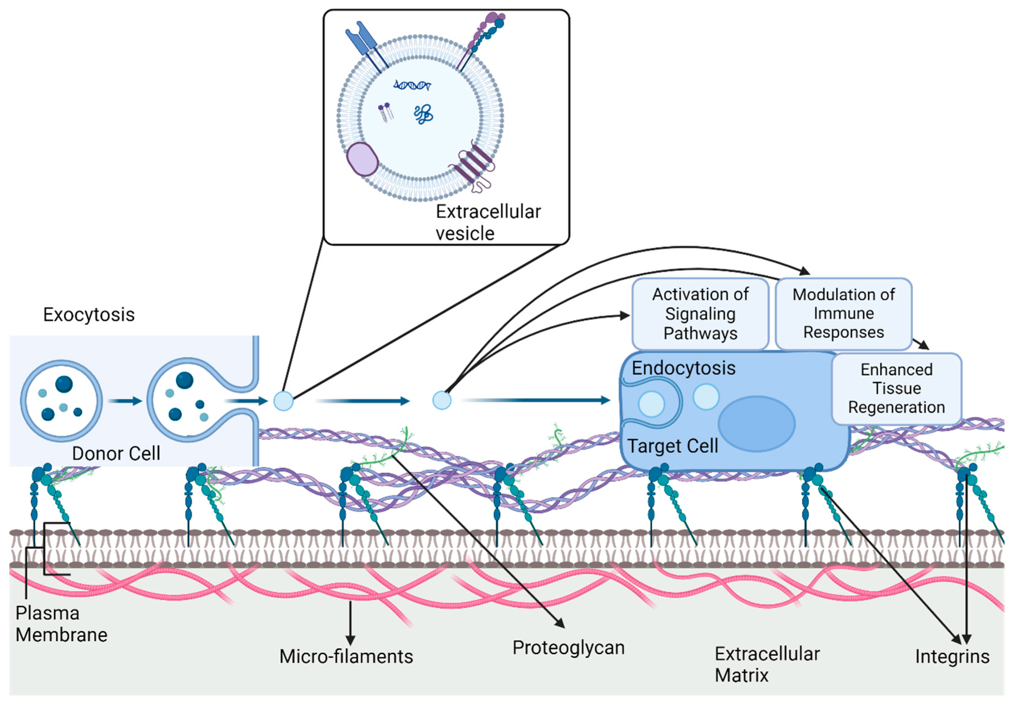 Bioengineering 12 00092 g002