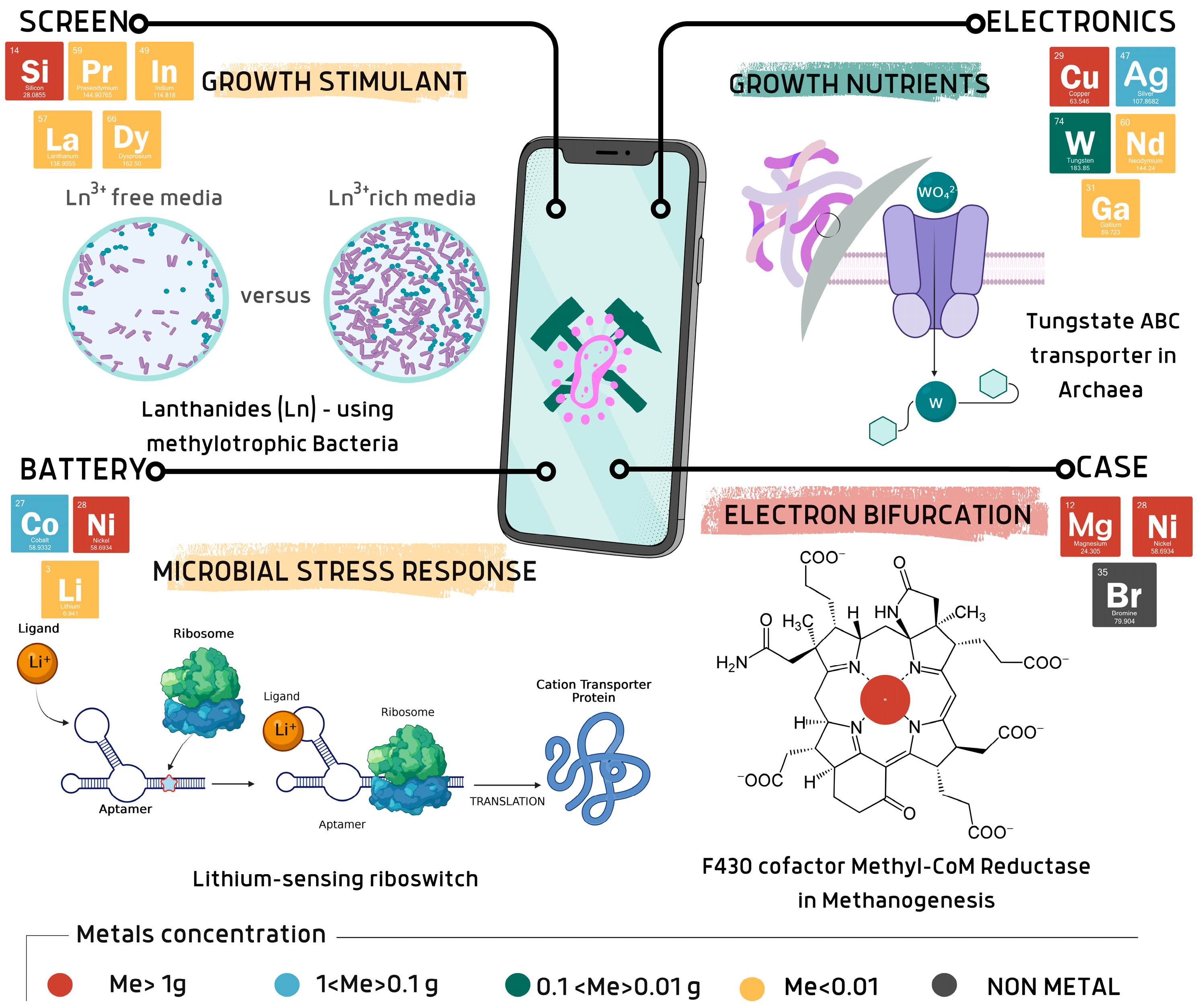 Bioengineering 12 00101 g002