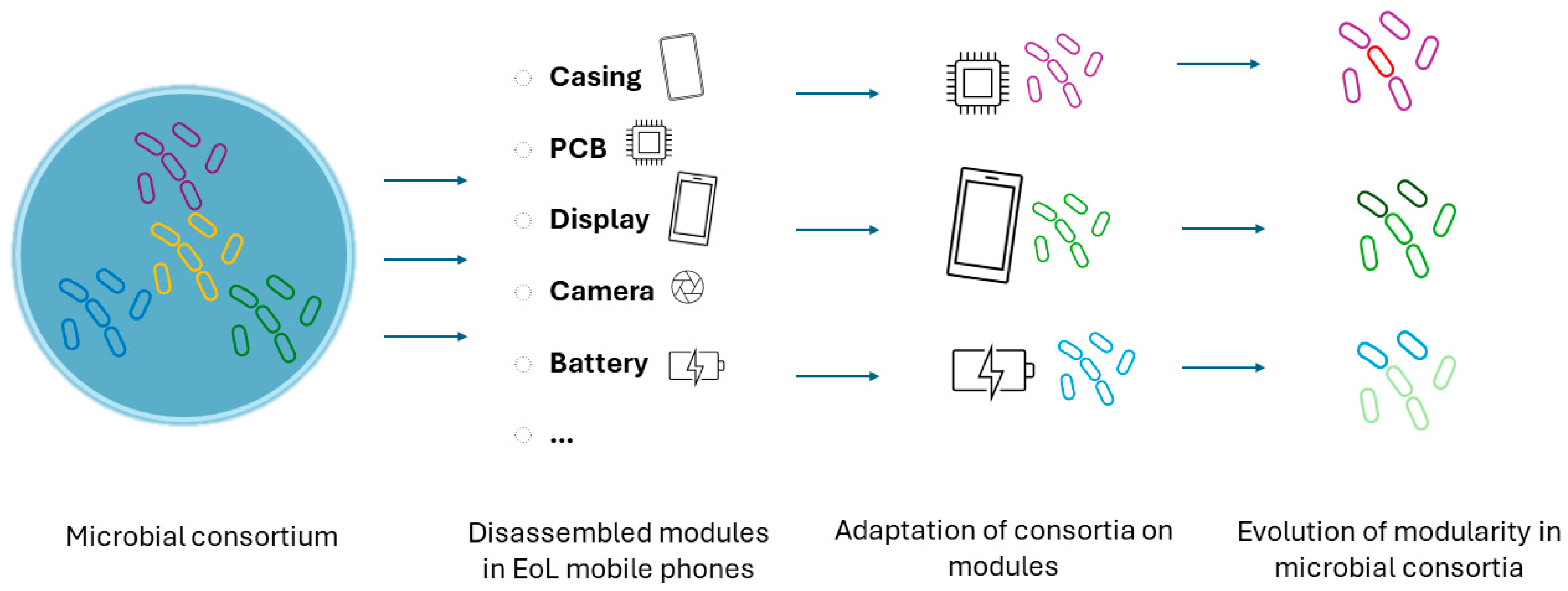 Bioengineering 12 00101 g007