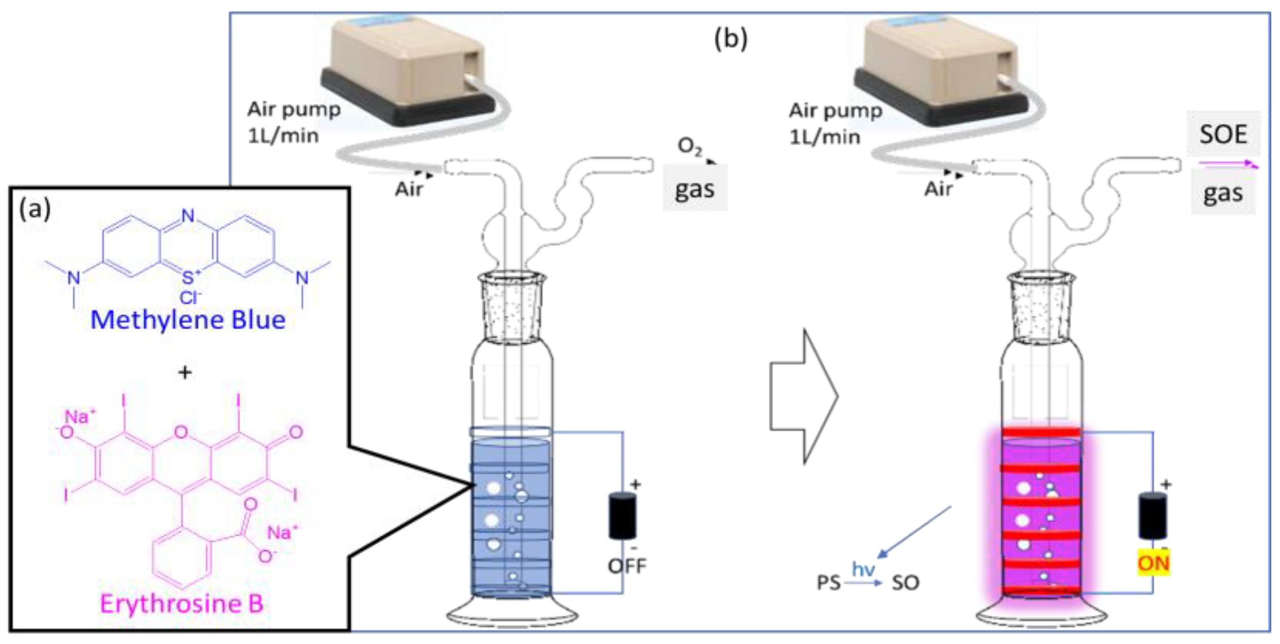 Bioengineering 12 00118 g003