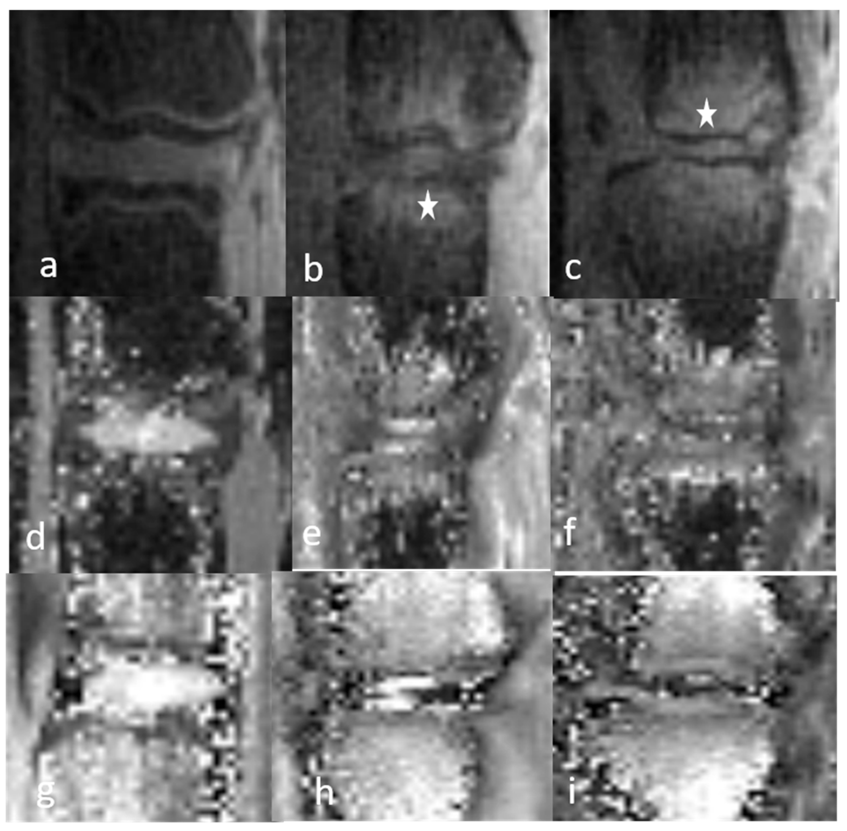 Bioengineering 12 00141 g007
