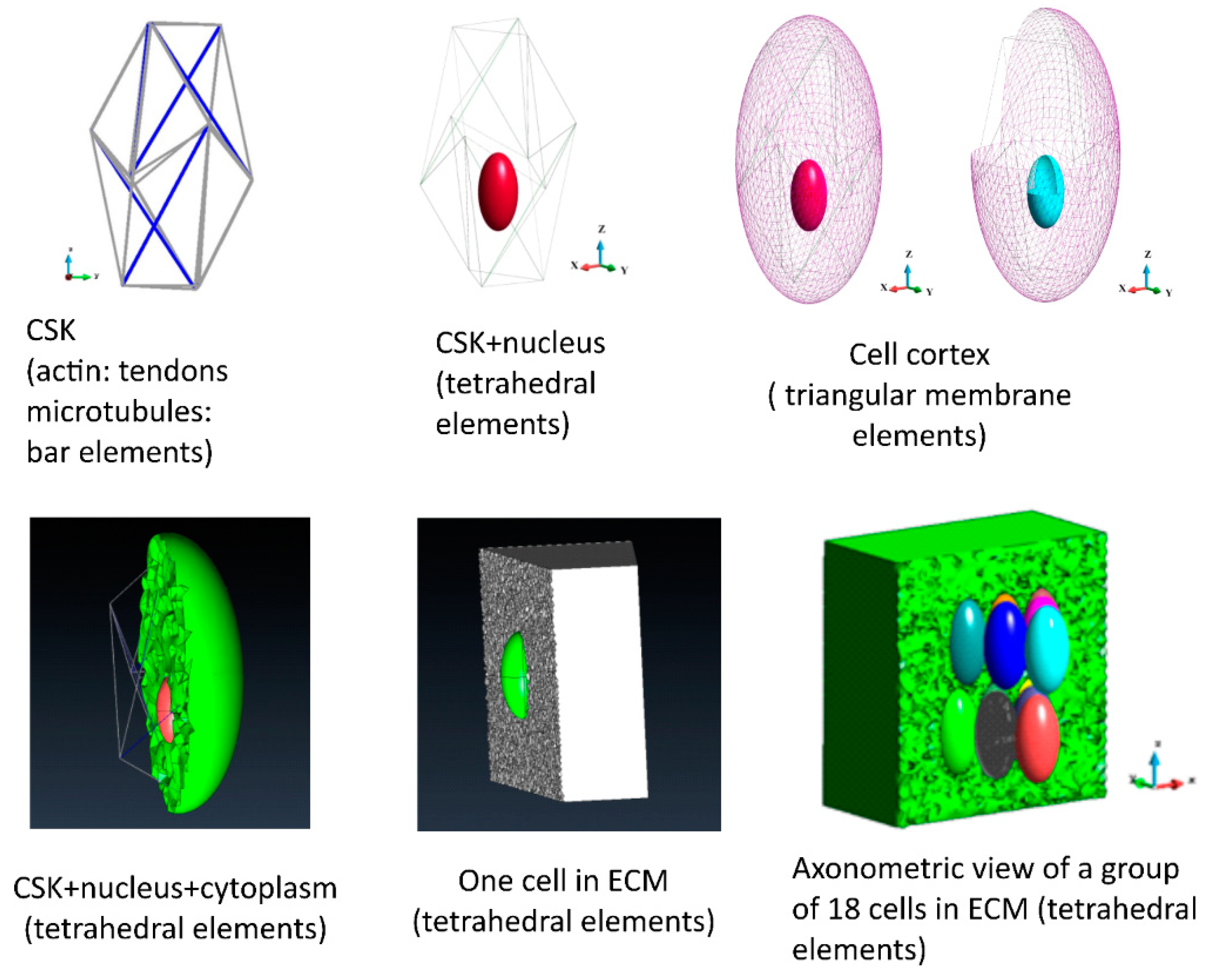 Bioengineering 12 00147 g001