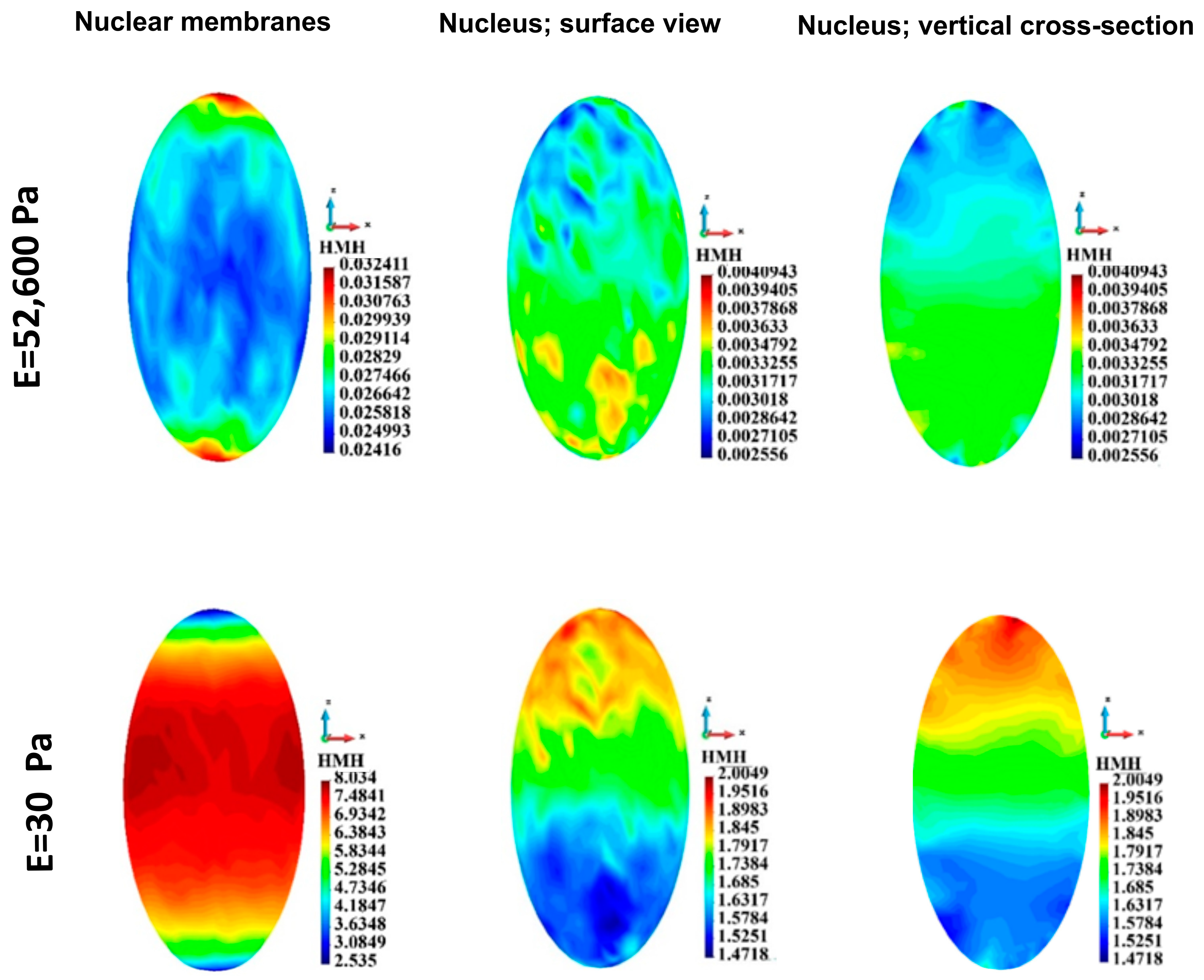 Bioengineering 12 00147 g011