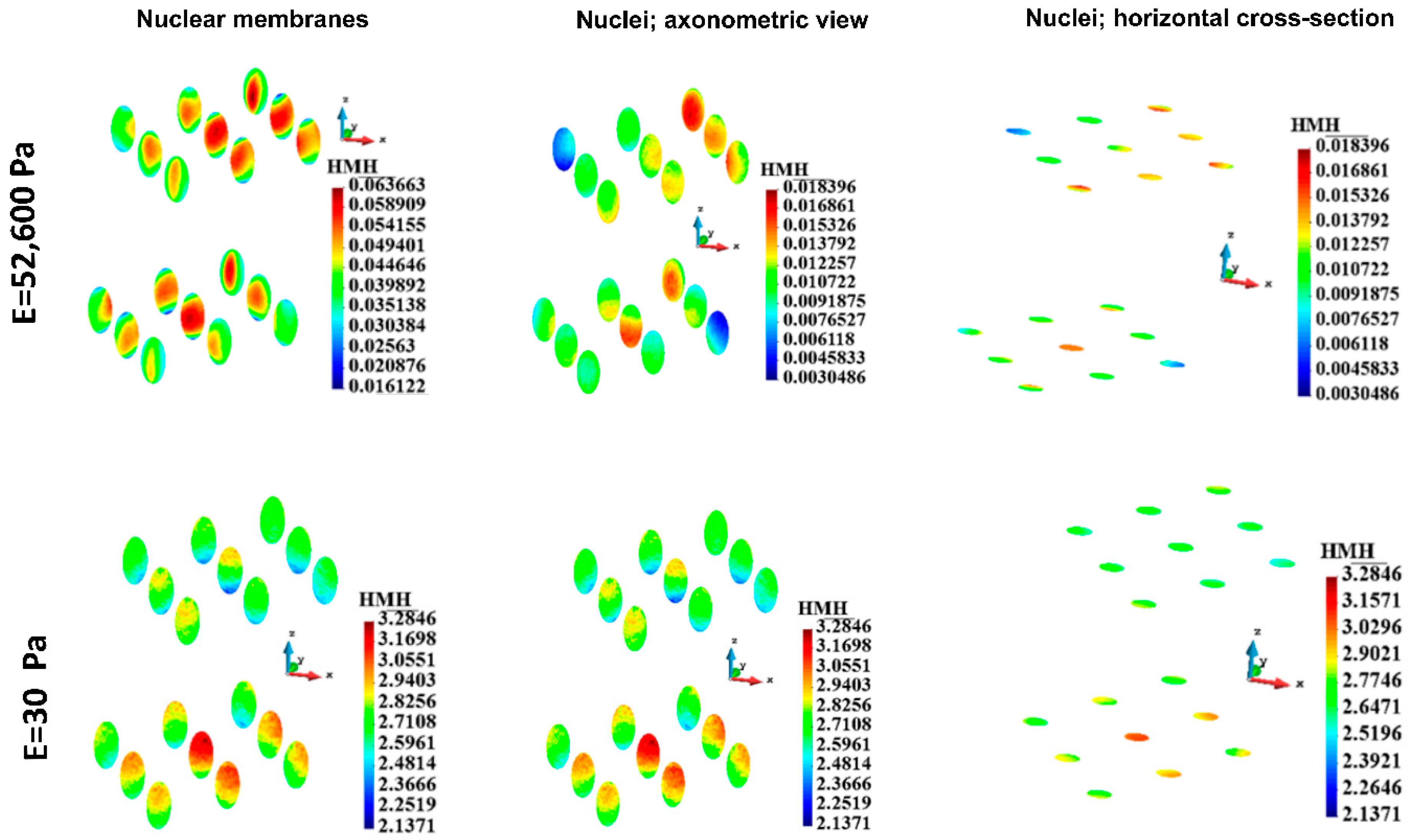 Bioengineering 12 00147 g012