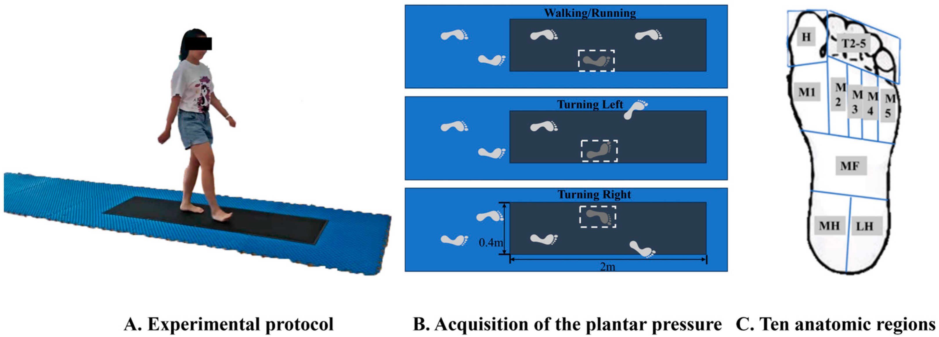 Bioengineering 12 00151 g001