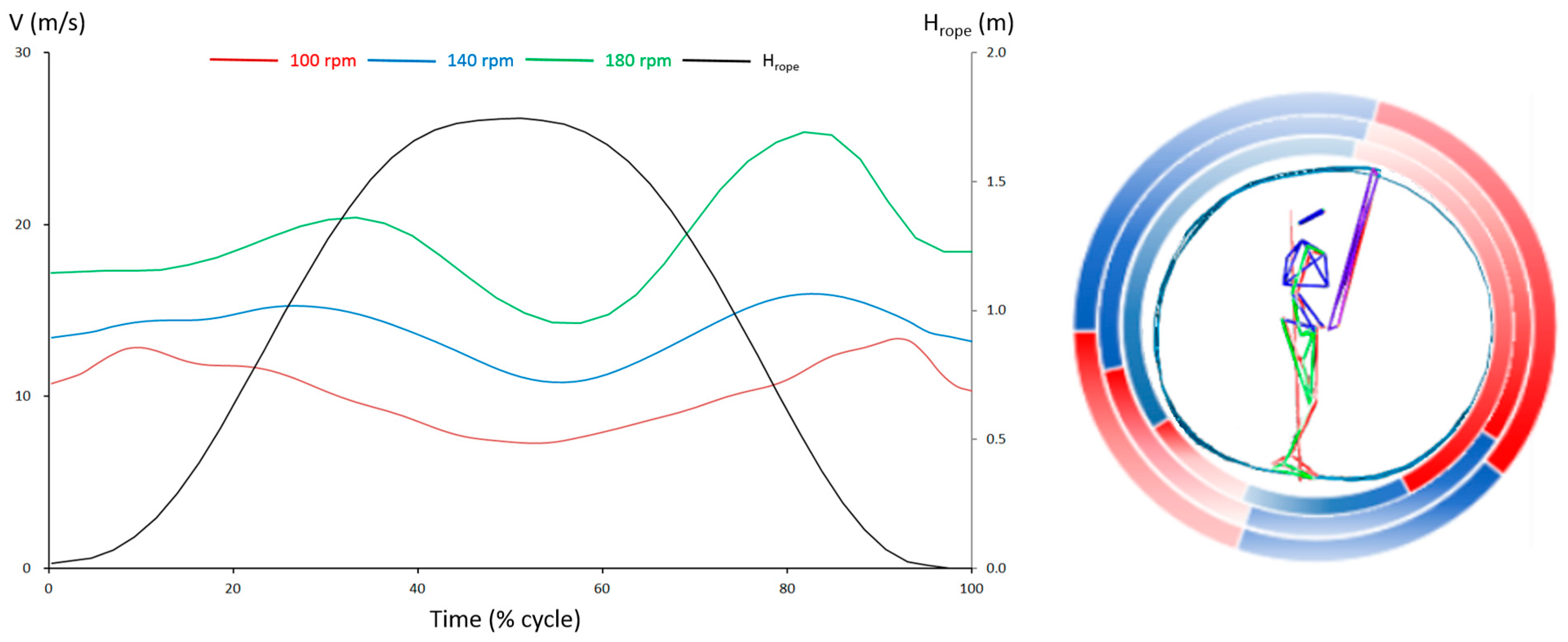 Bioengineering 12 00162 g003