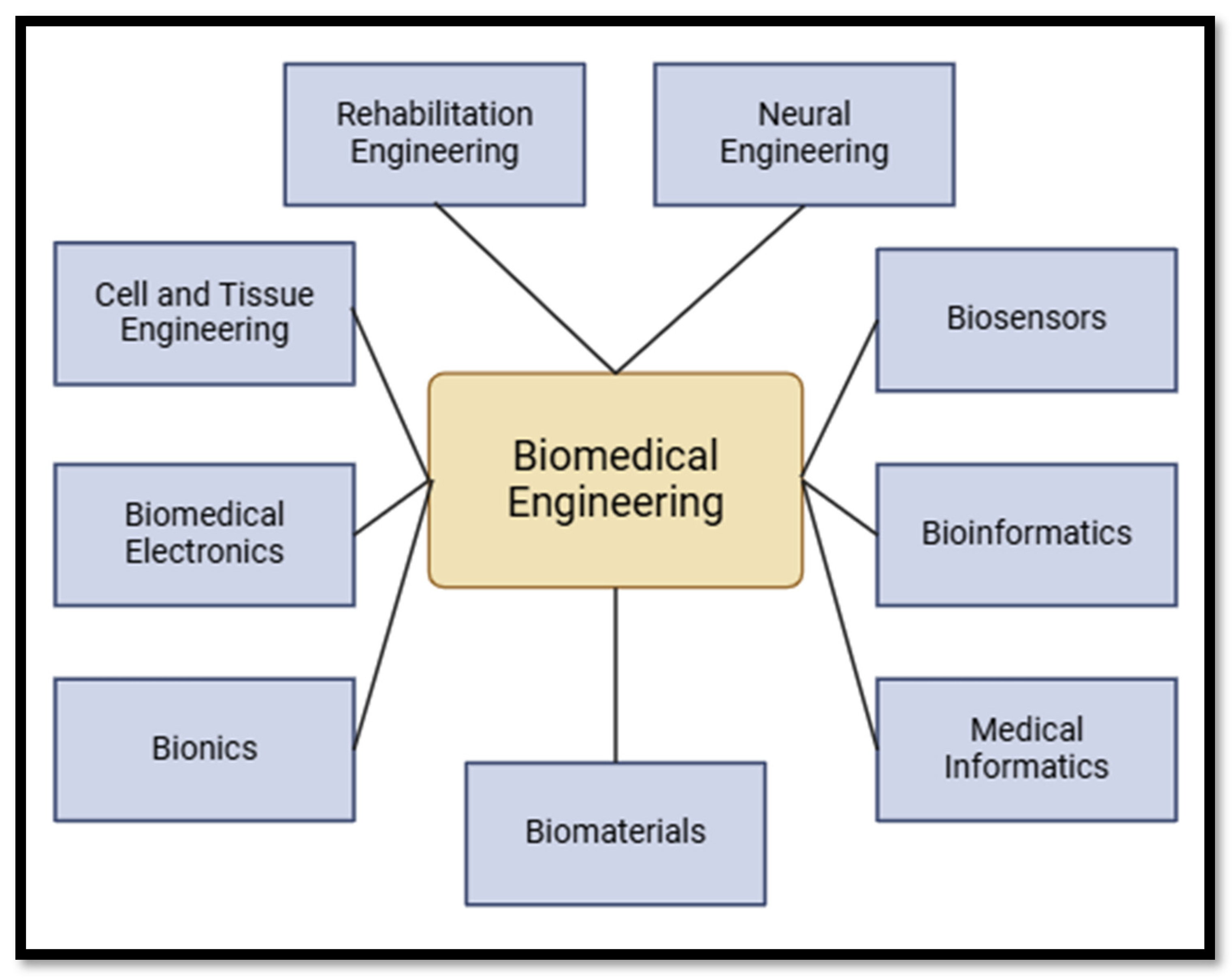 Bioengineering 12 00163 g001
