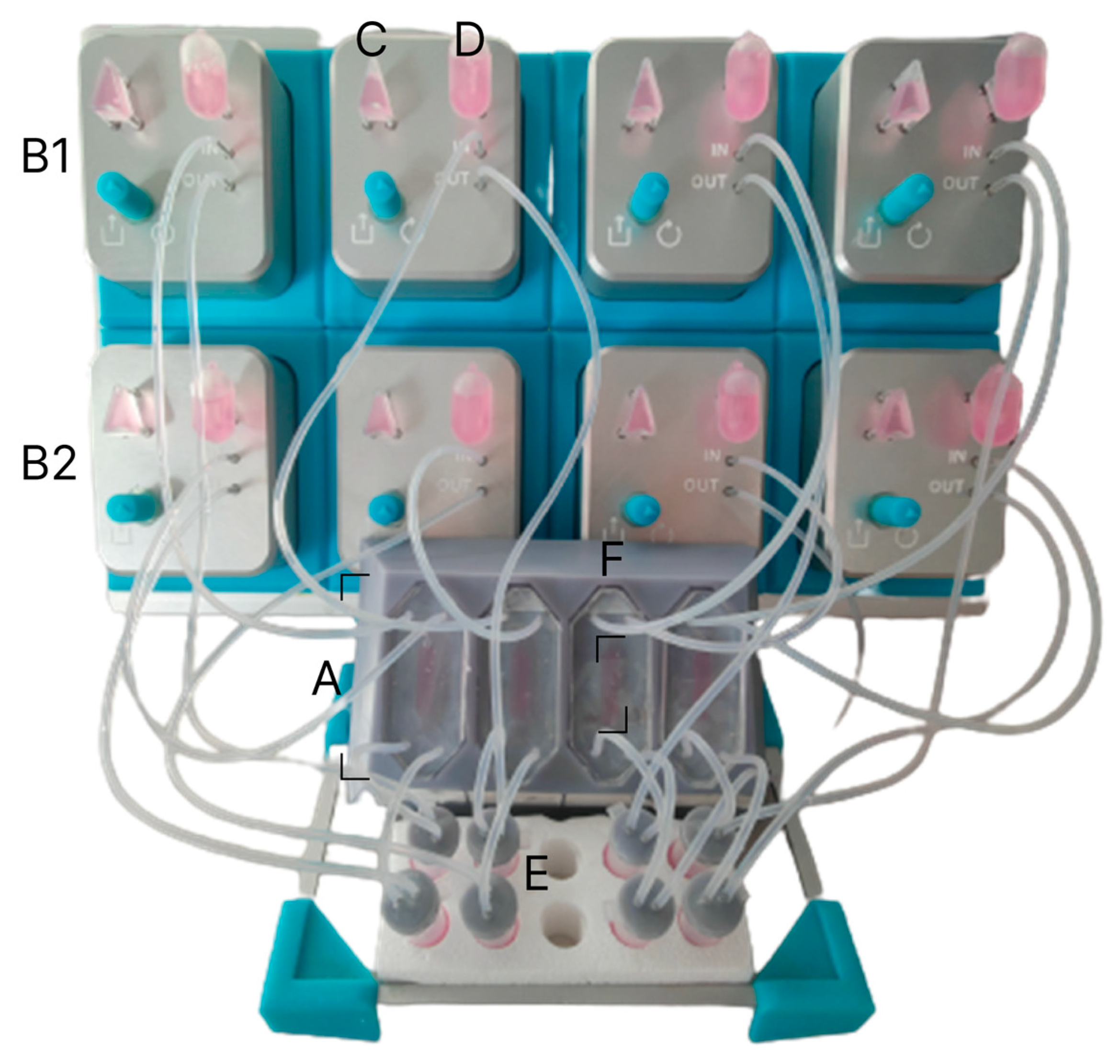Bioengineering 12 00182 g002