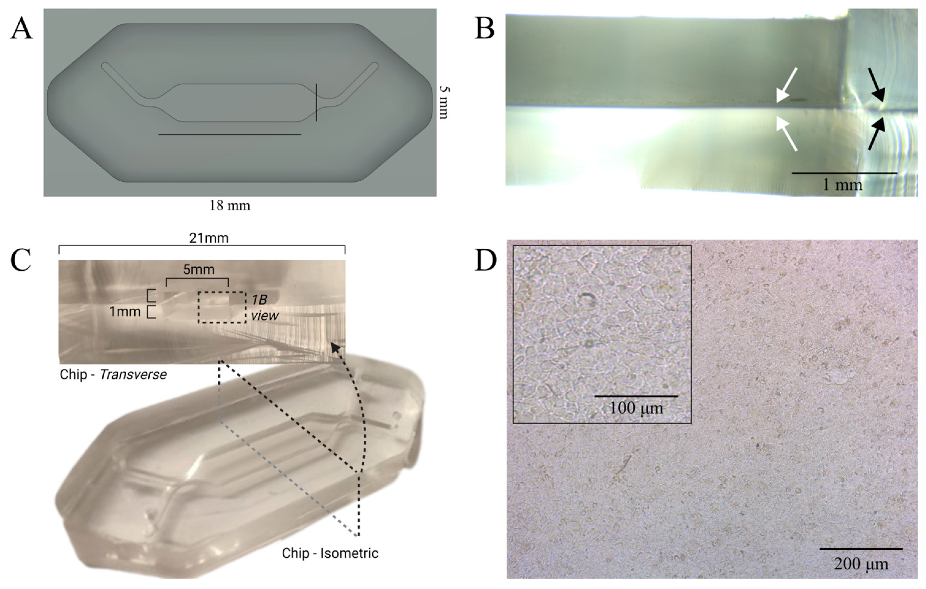 Bioengineering 12 00182 g003
